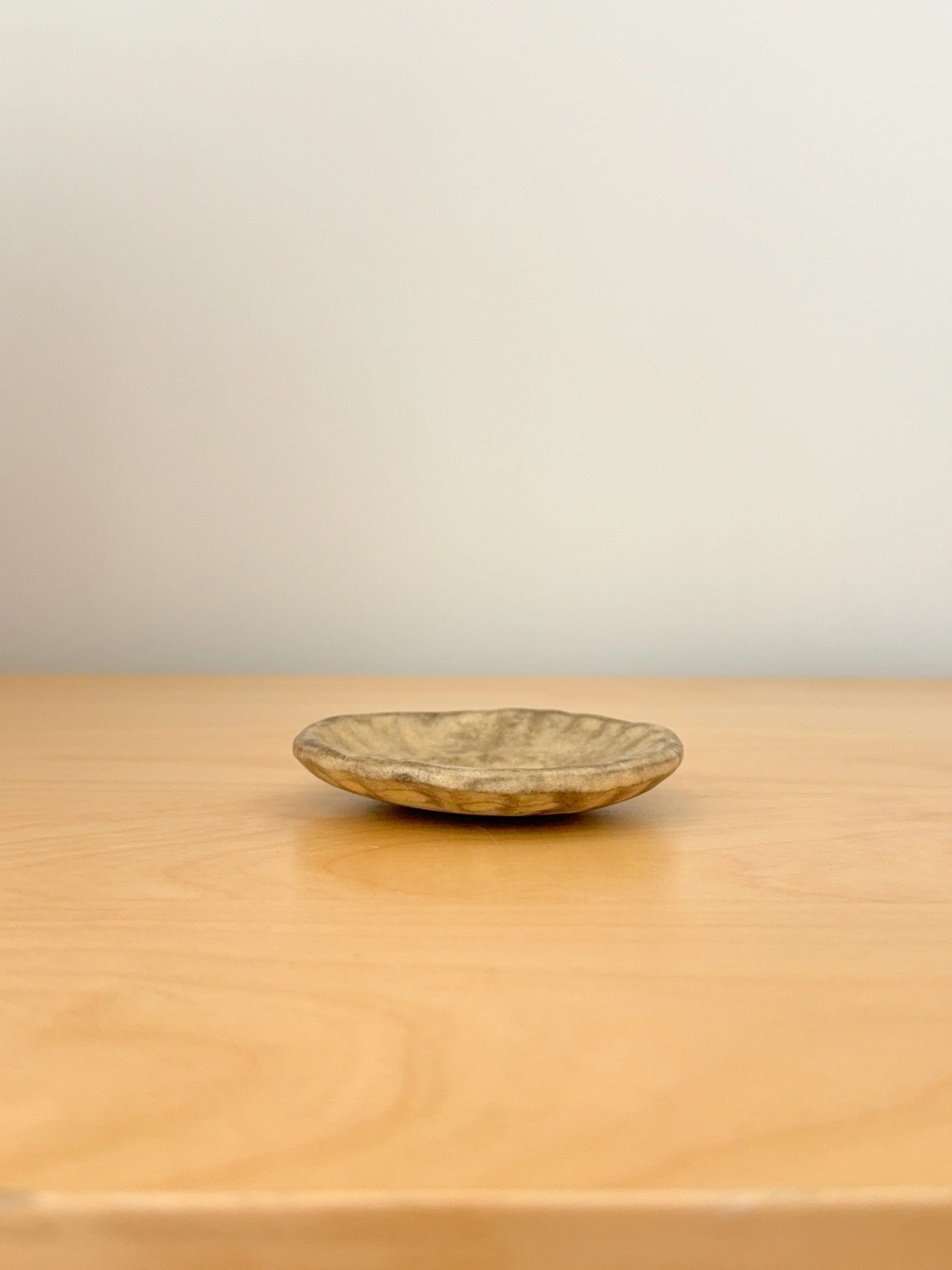 Sand dollar dish by Andrea l. Side view .JPG
