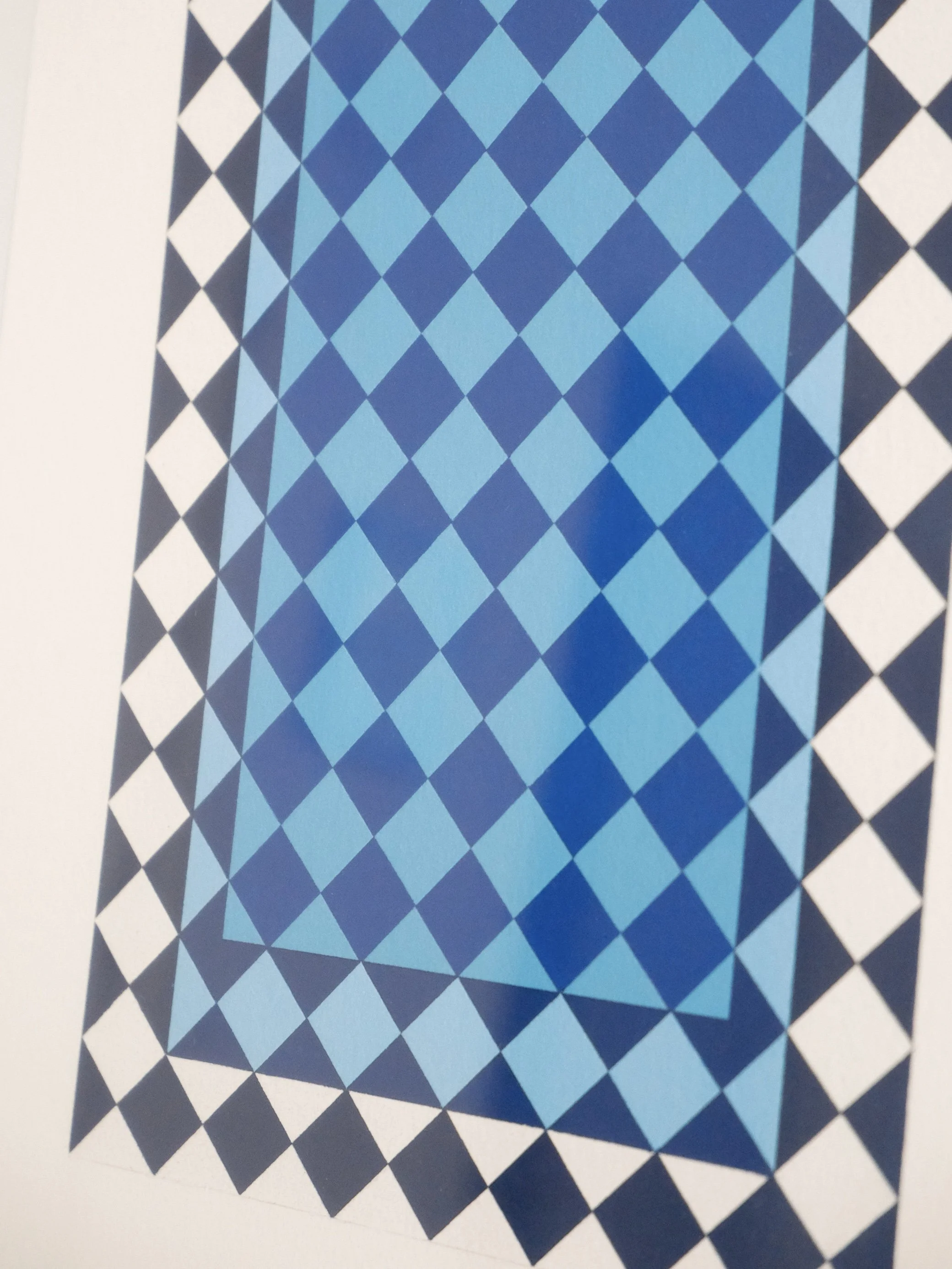 night swim print by andrea l. zoom.jpg