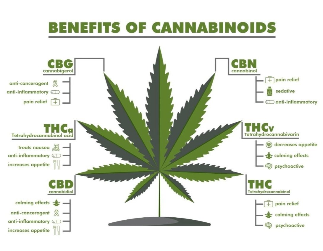 online gulfport medical marijuana card