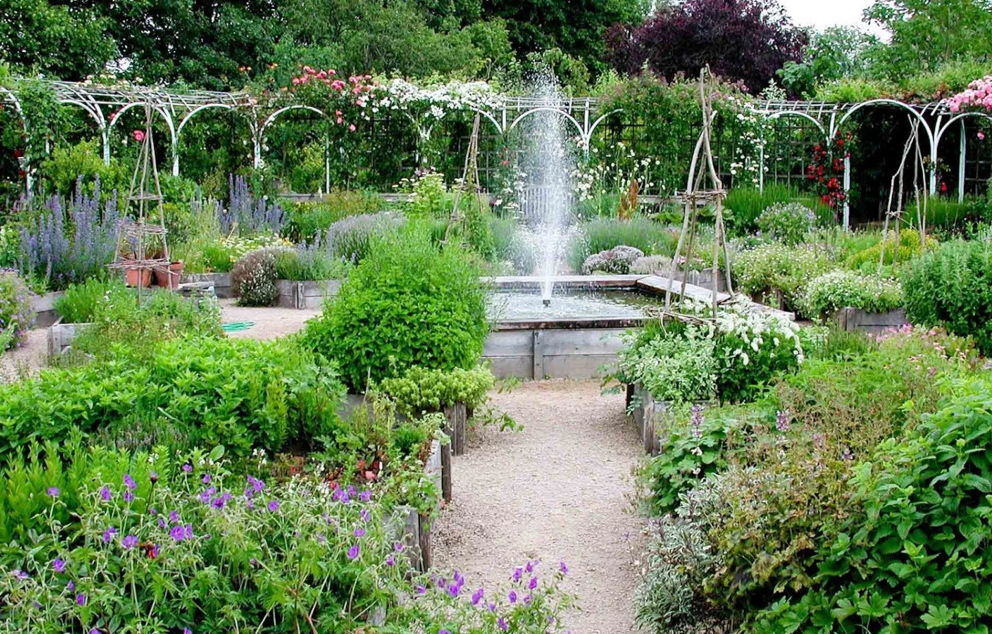 The Magic of a flower medicine garden