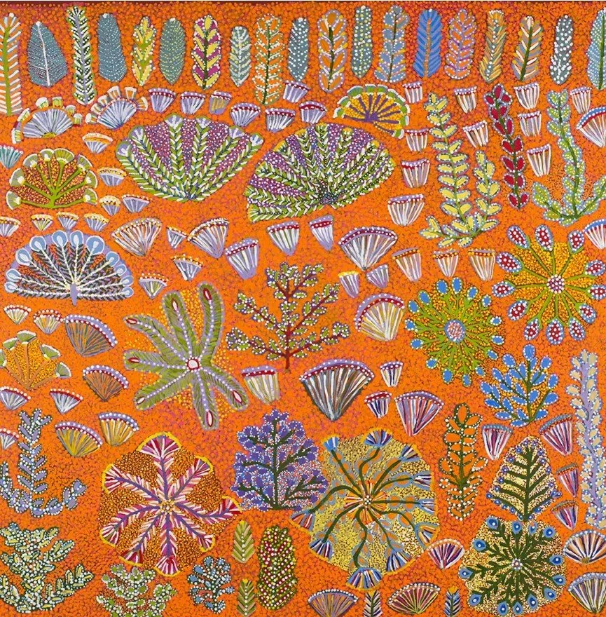 The art of healing: five medicinal plants used by Aboriginal Australians