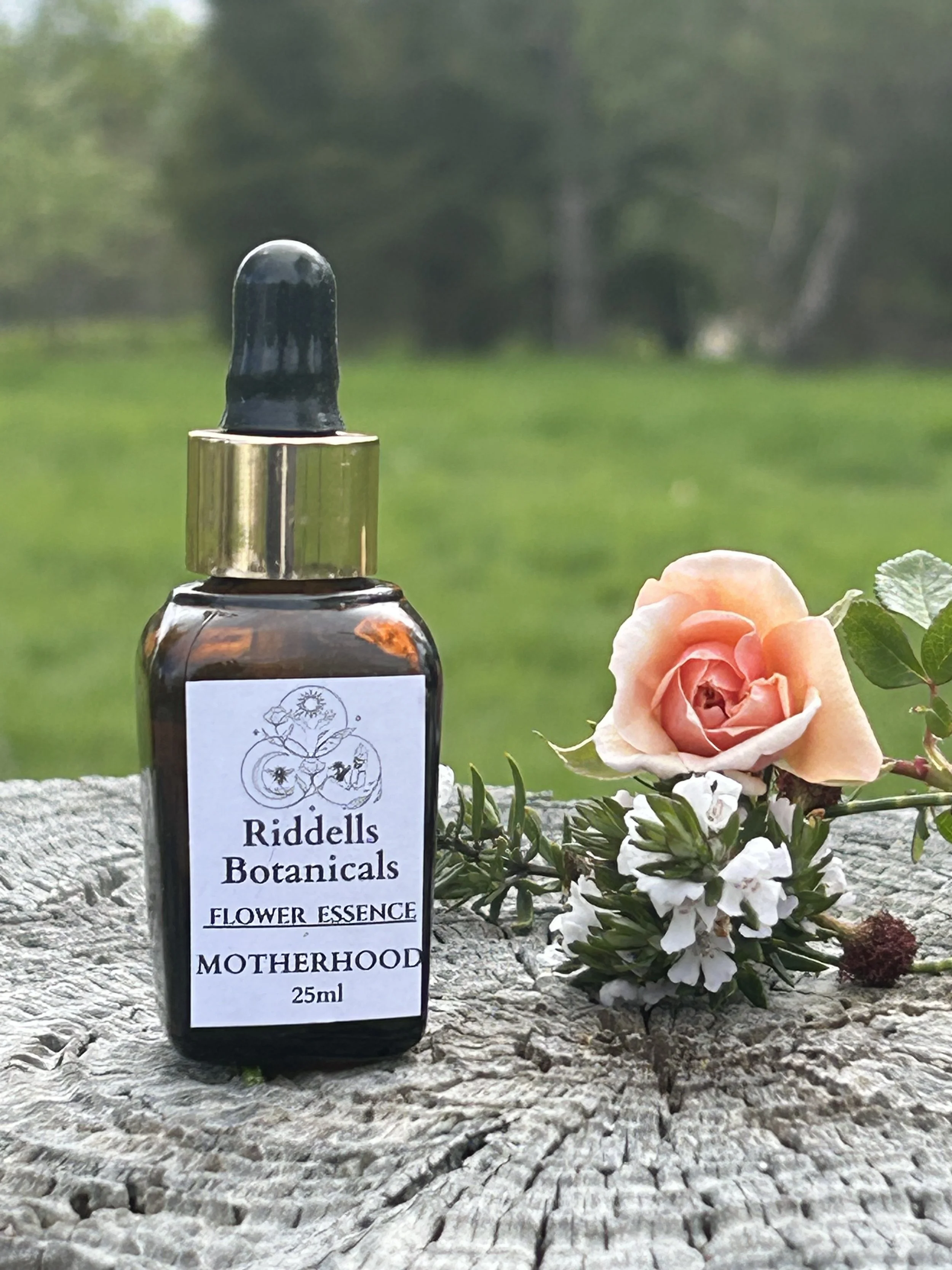 Motherhood (Pre/Post birth)  CONFIDENT, CALM MOTHERING