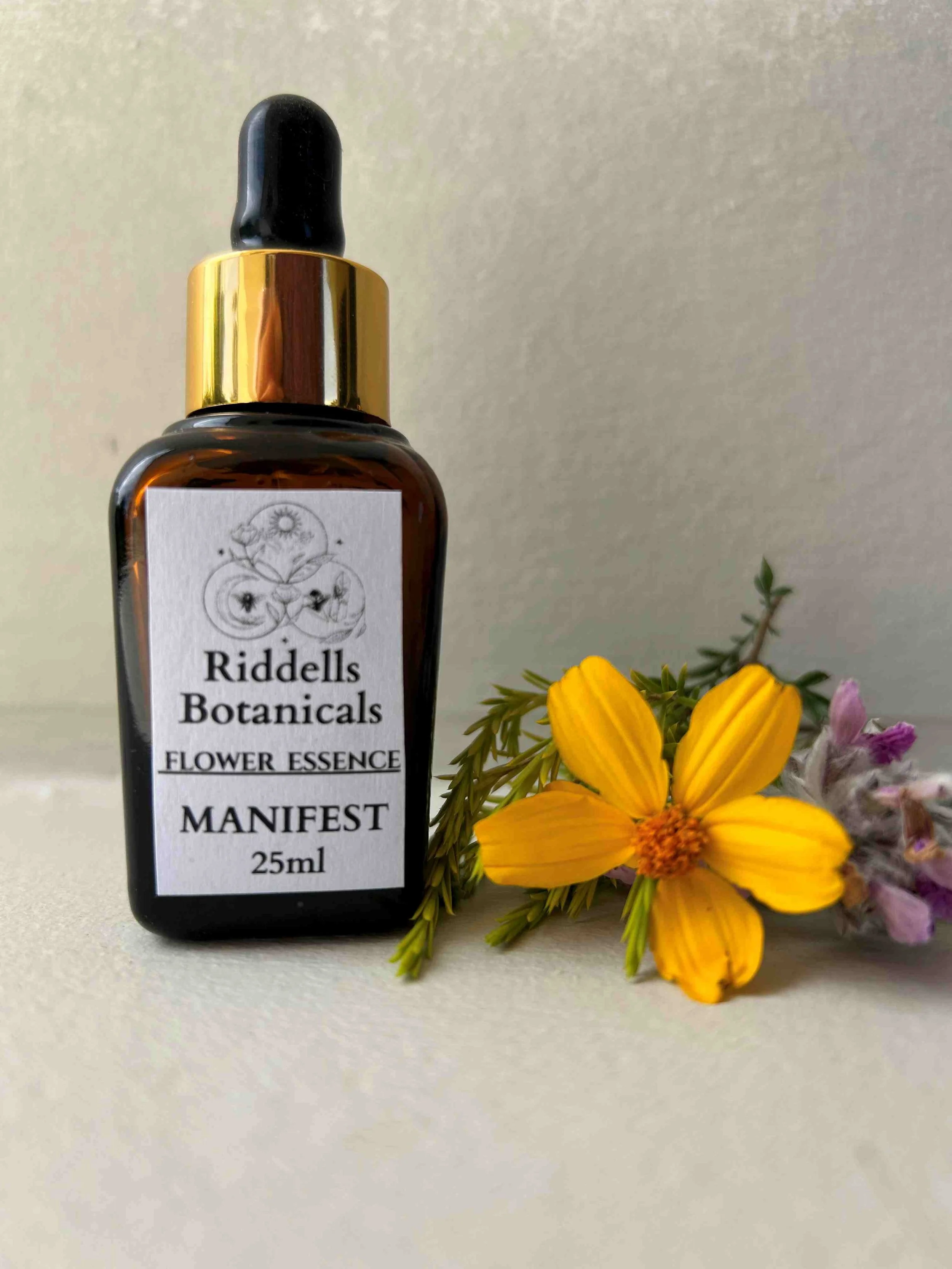 Manifest   LIVE YOUR DREAMS