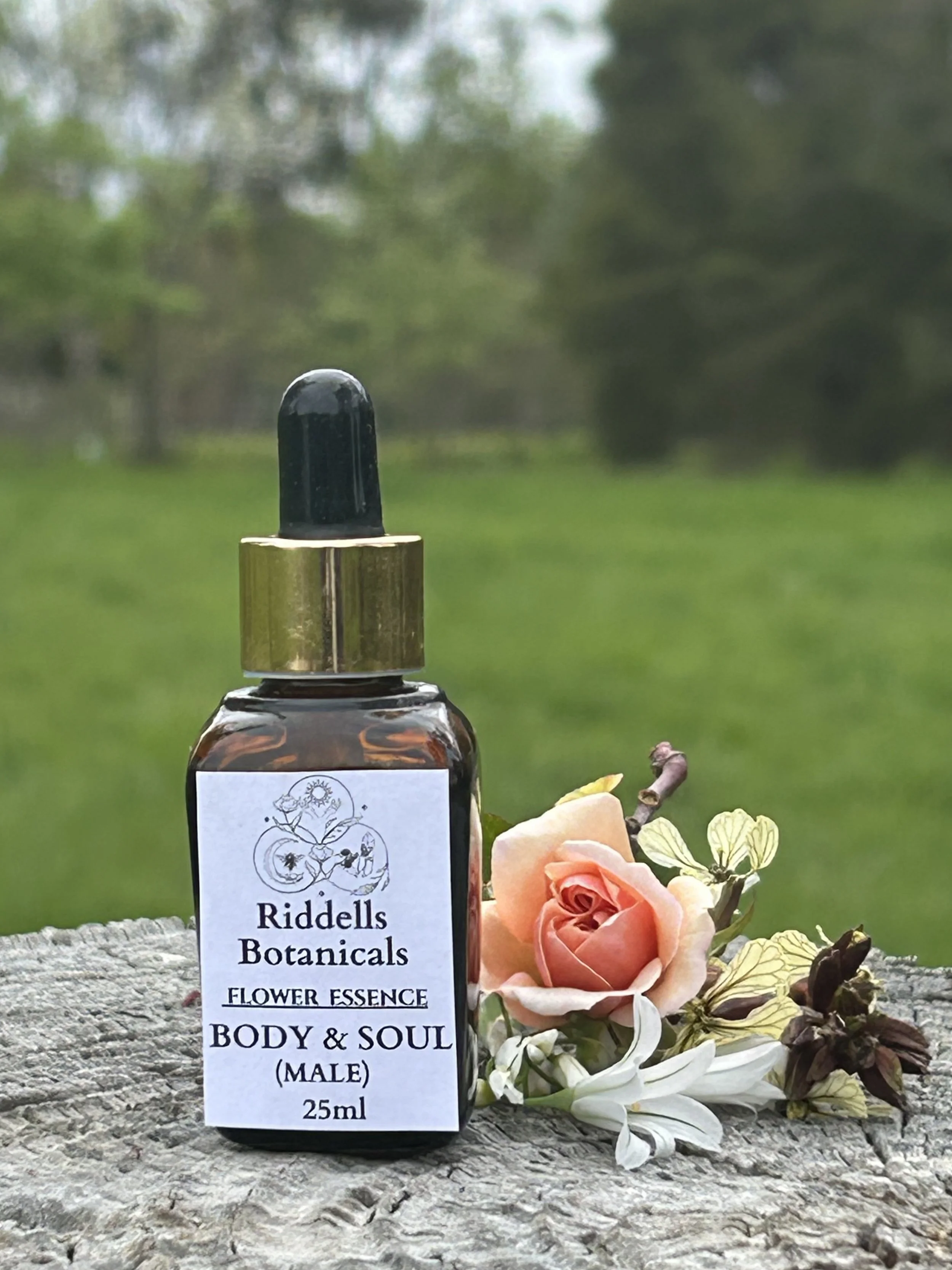 Body and Soul (Male)  BALANCE, CALMNESS