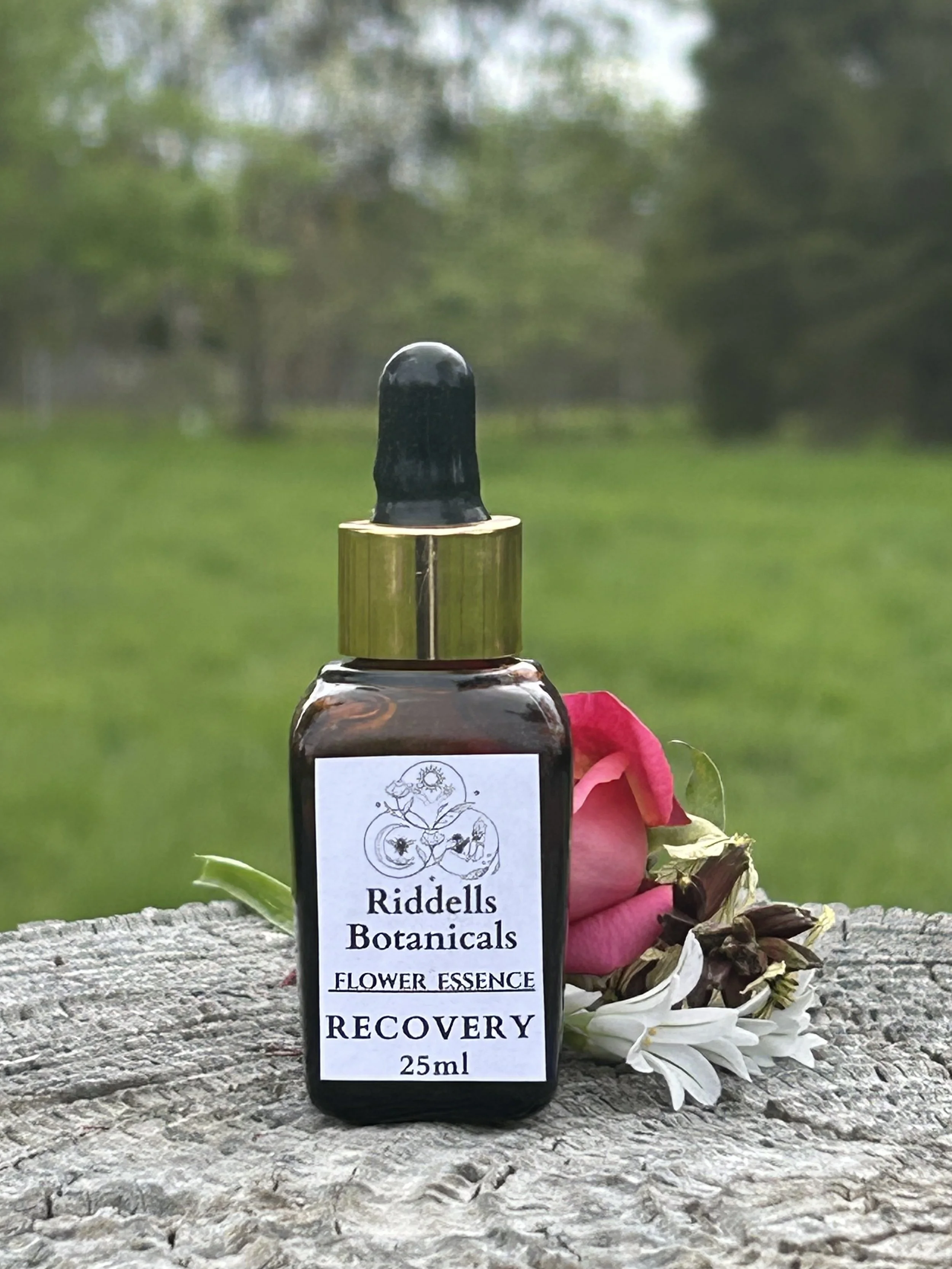 Recovery   REGAIN HEALTH AFTER ILLNESS, VITALITY