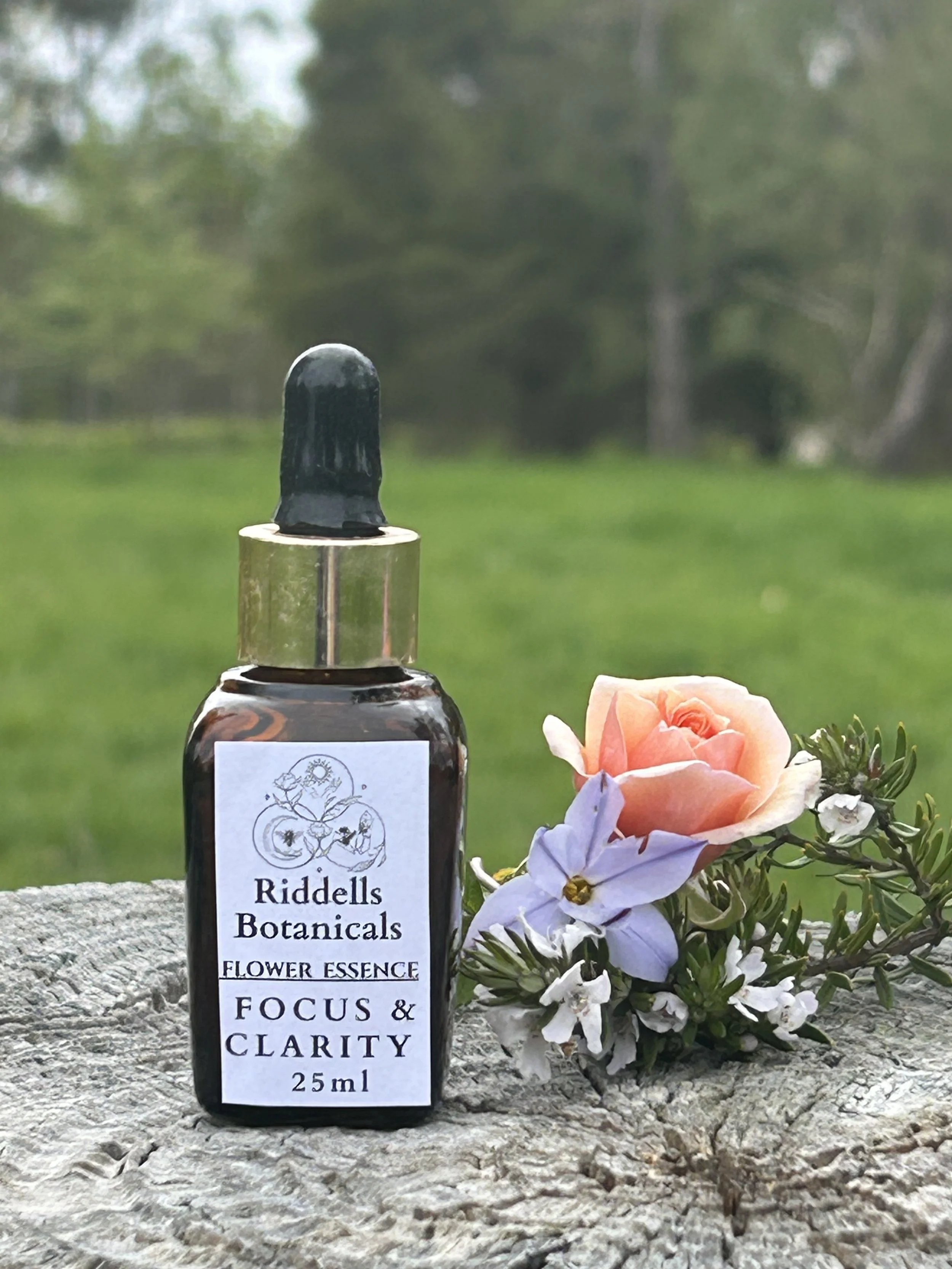 Focus and Clarity  DE-CLUTTER, MINDFUL, MINDFUL