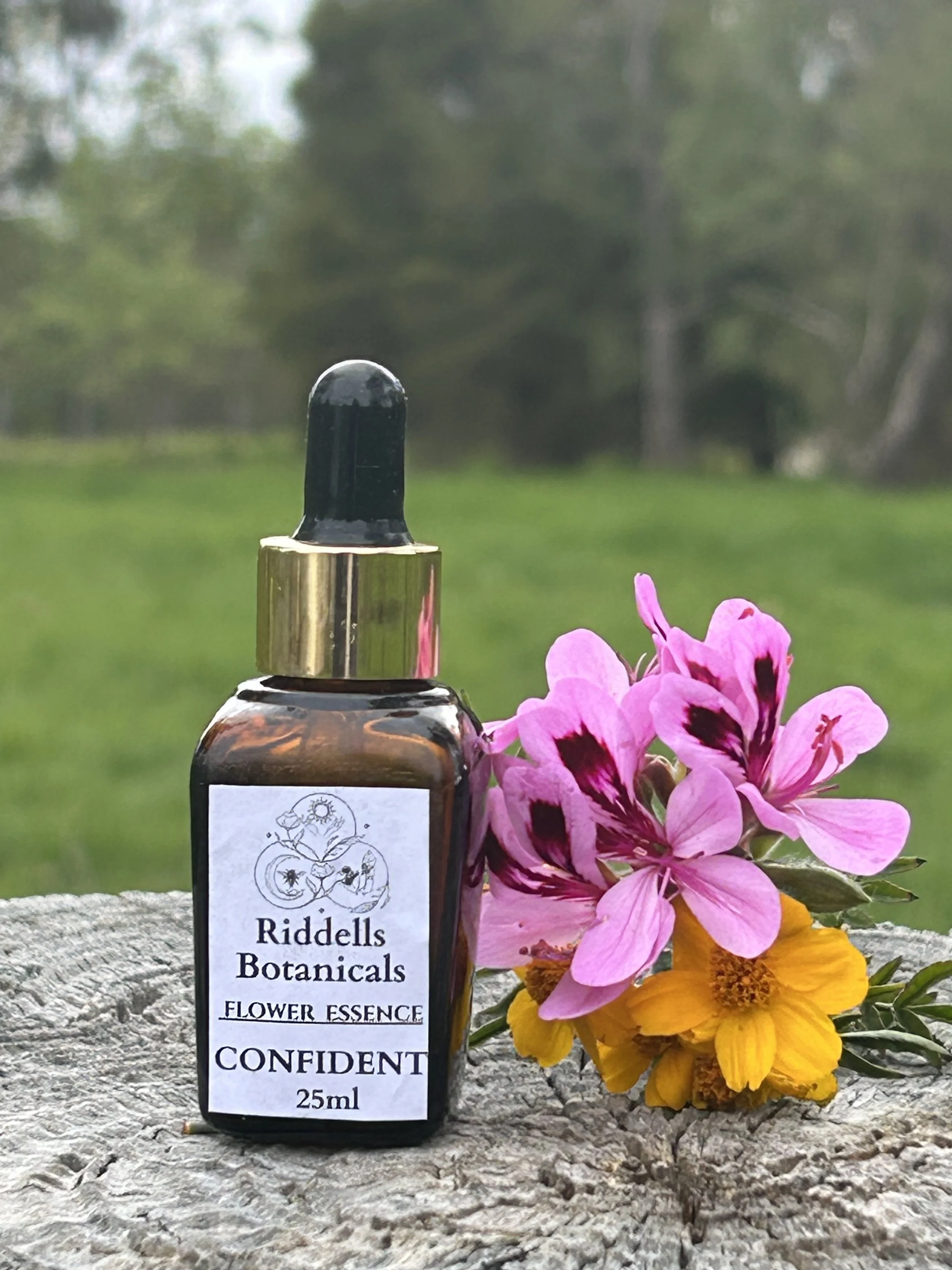 Confident  EXPRESS CLEARLY, DECISIVE, ACTION