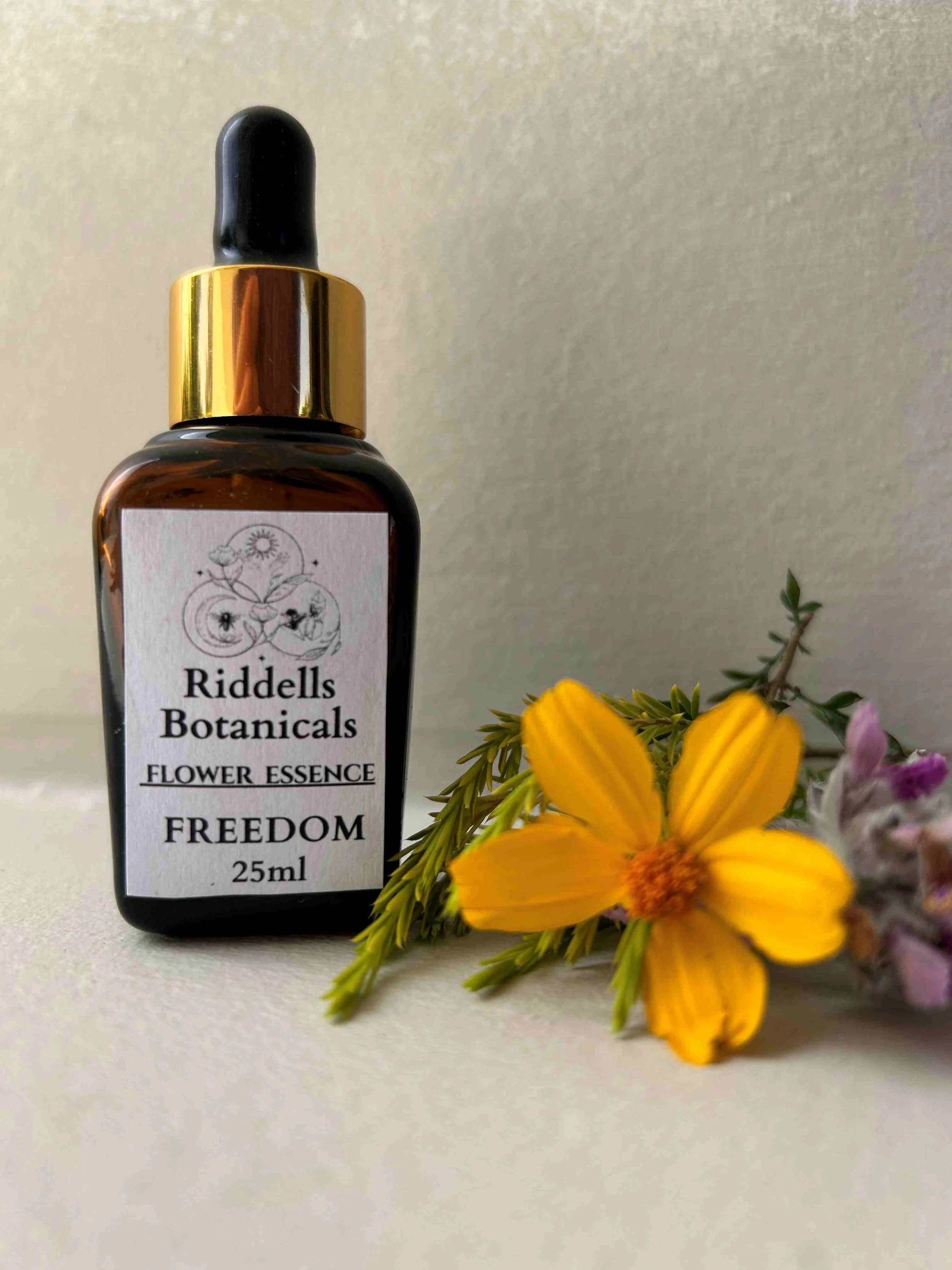 Freedom   RELEASE NEGATIVITY, OLD HABITS, BREAK CYCLES