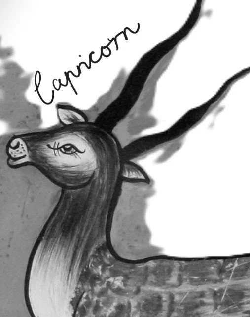 CAPRICORN  Astrological Essence