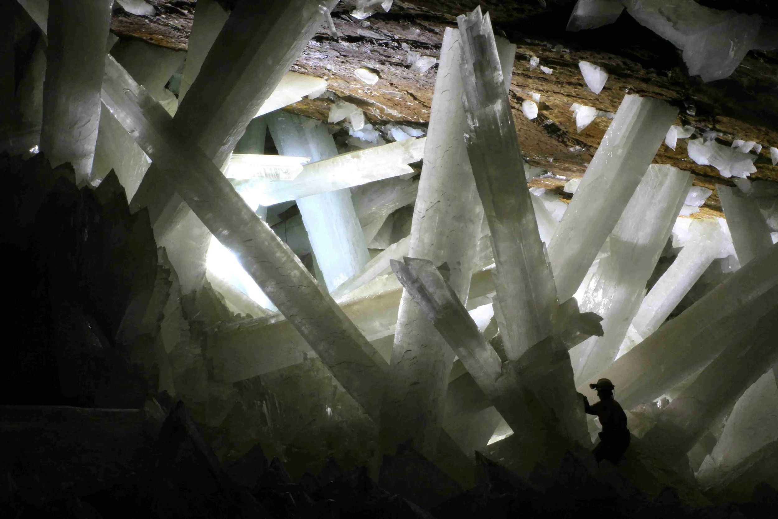 A person exploring a large cave filled with tall, pointed, translucent formations of selenite crystals, illuminated by natural light.