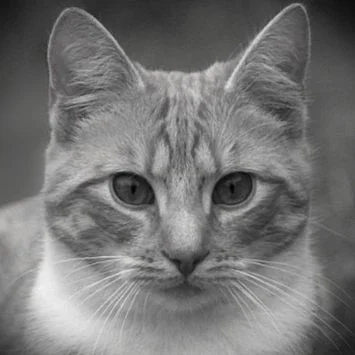 Sensitive   Cleanser for stress