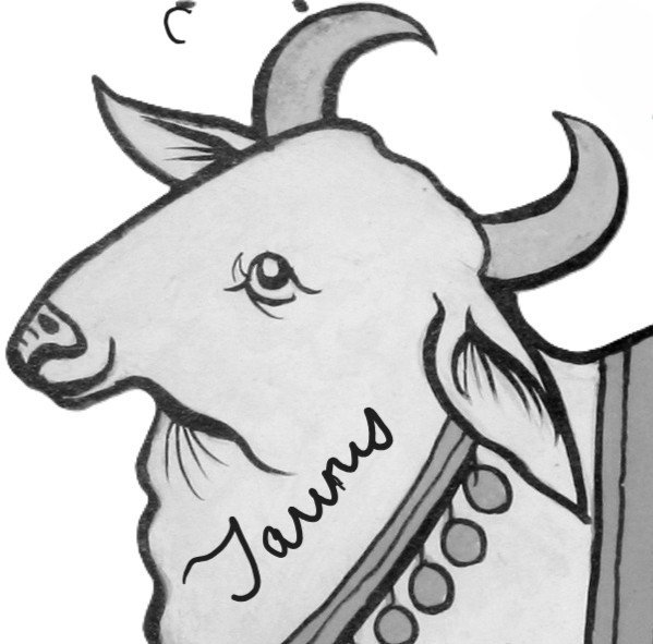 TAURUS  Astrological essence.