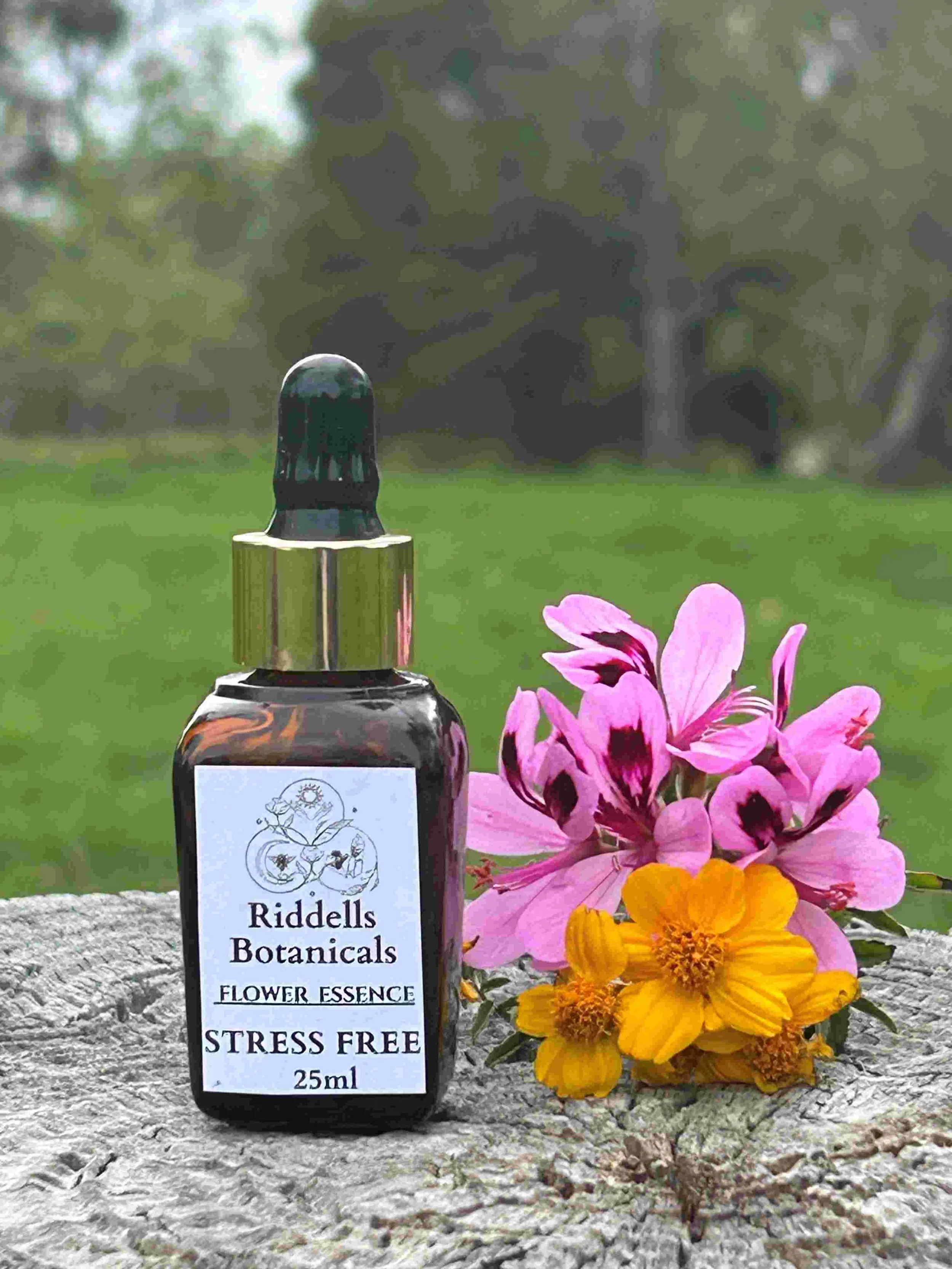 Stress Free-Flower Essence  REMOVES NEGATIVE EMOTIONS