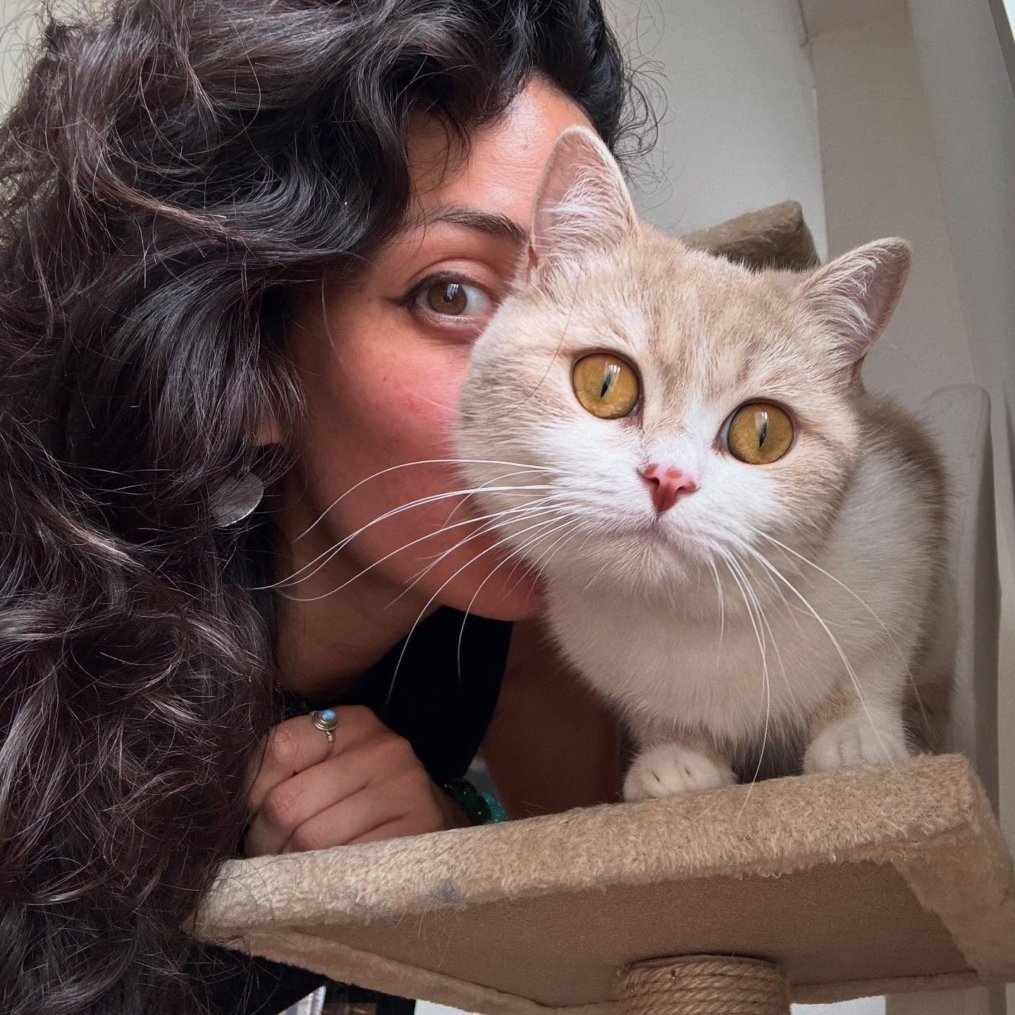 ✨ My Heart @trinitygoldeneye ✨

You changed my life, little fluff ball! I hope you live forever and ever and ever. We'll have to reincarnate together from now on 🌻 

#love #baby #trinitygoldeneye #kitten #cat #pet #scottishstraight #catsofinstagram 