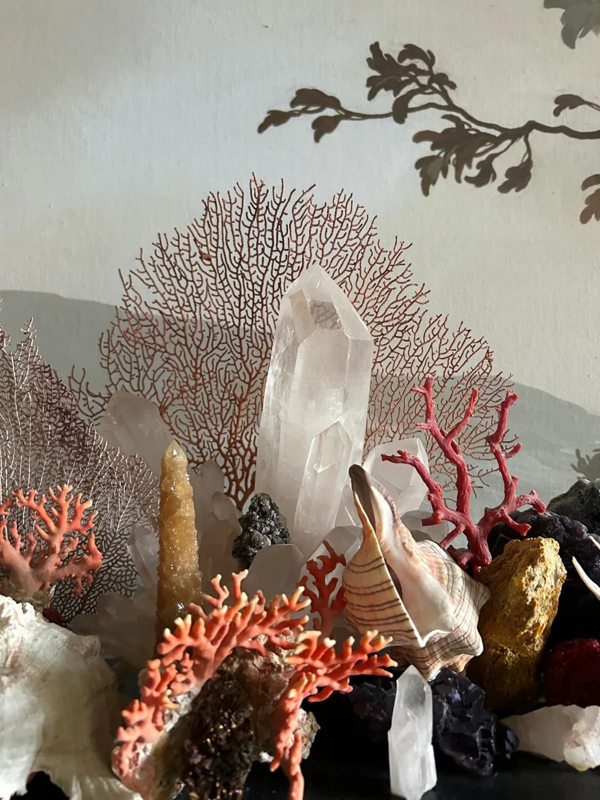 PHOTO-2025-07-29-15-17-53 5.jpg