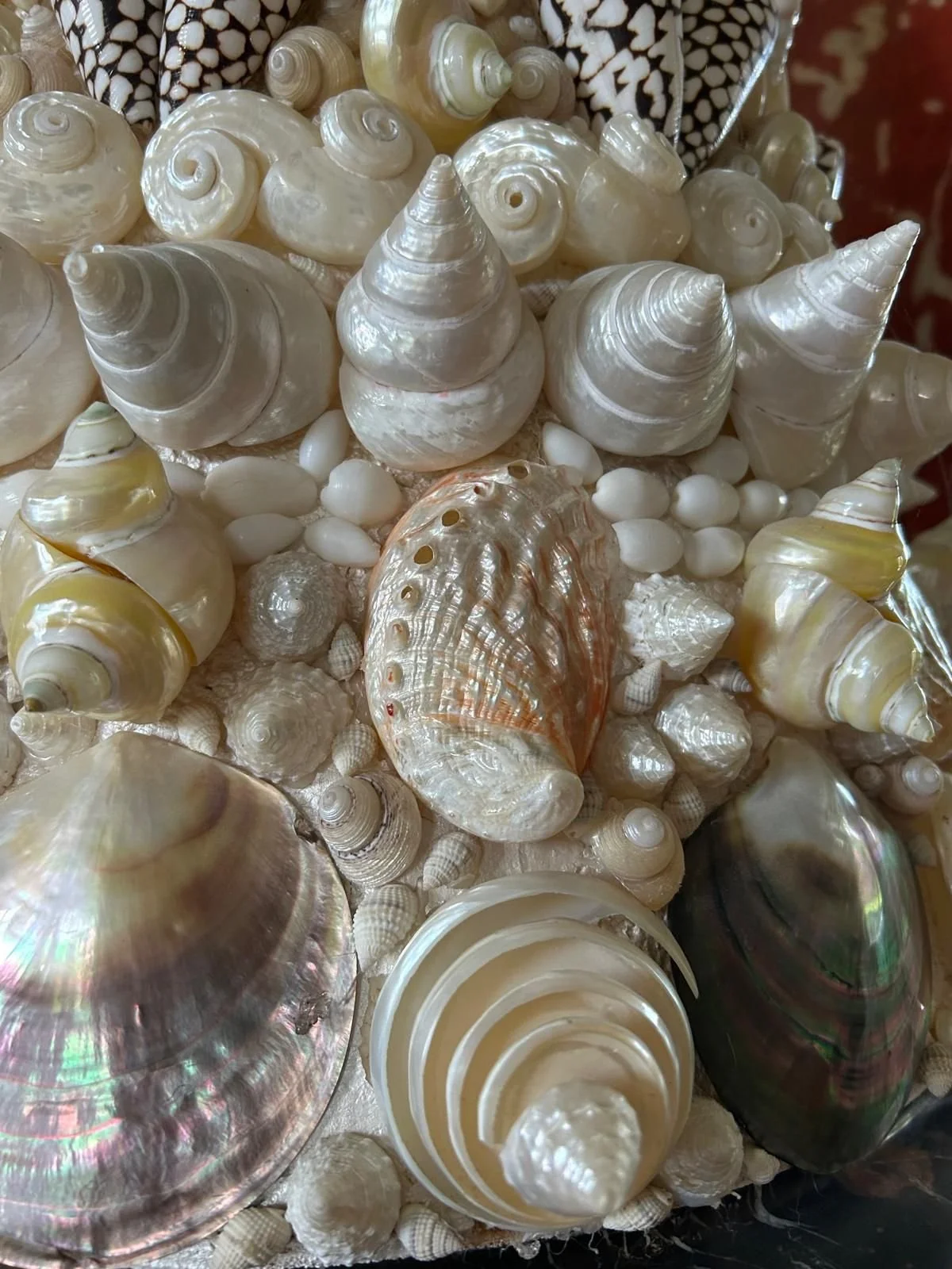 PHOTO-2025-07-29-15-17-53 6.jpg