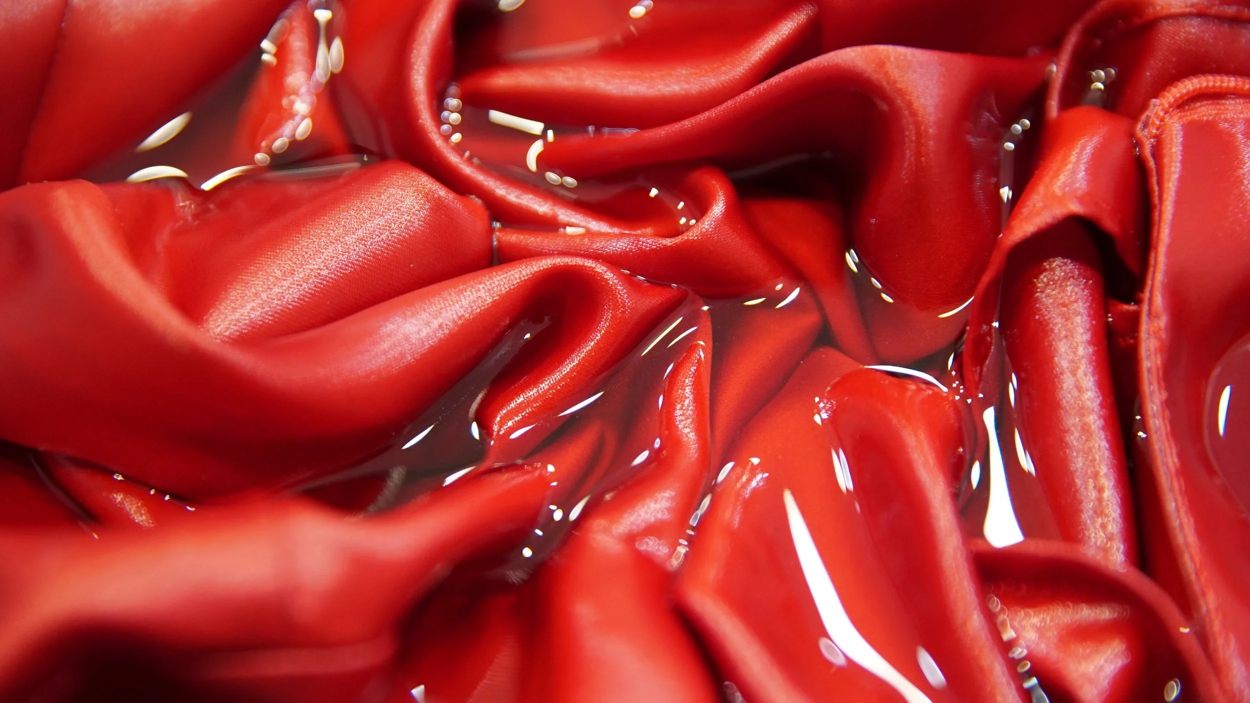 Photography; A red study