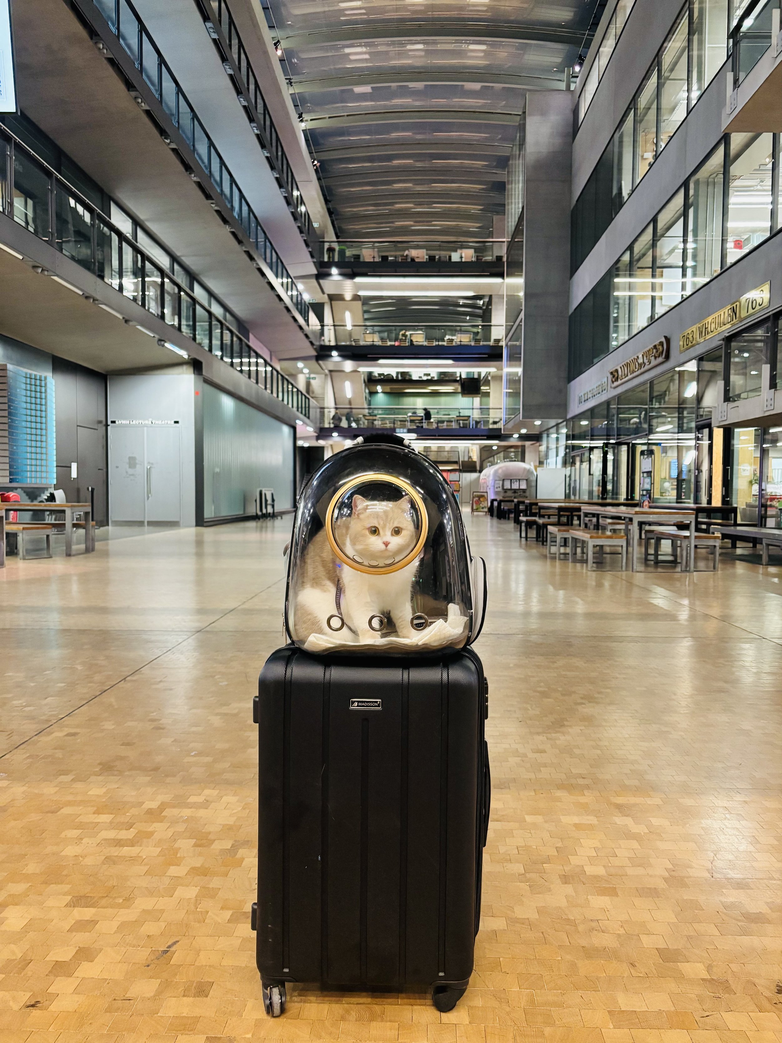 Trinity has landed at CSM!