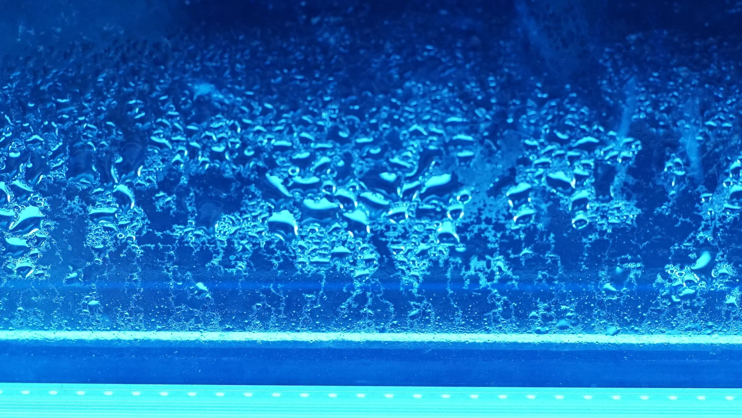 Photography; A blue winter study