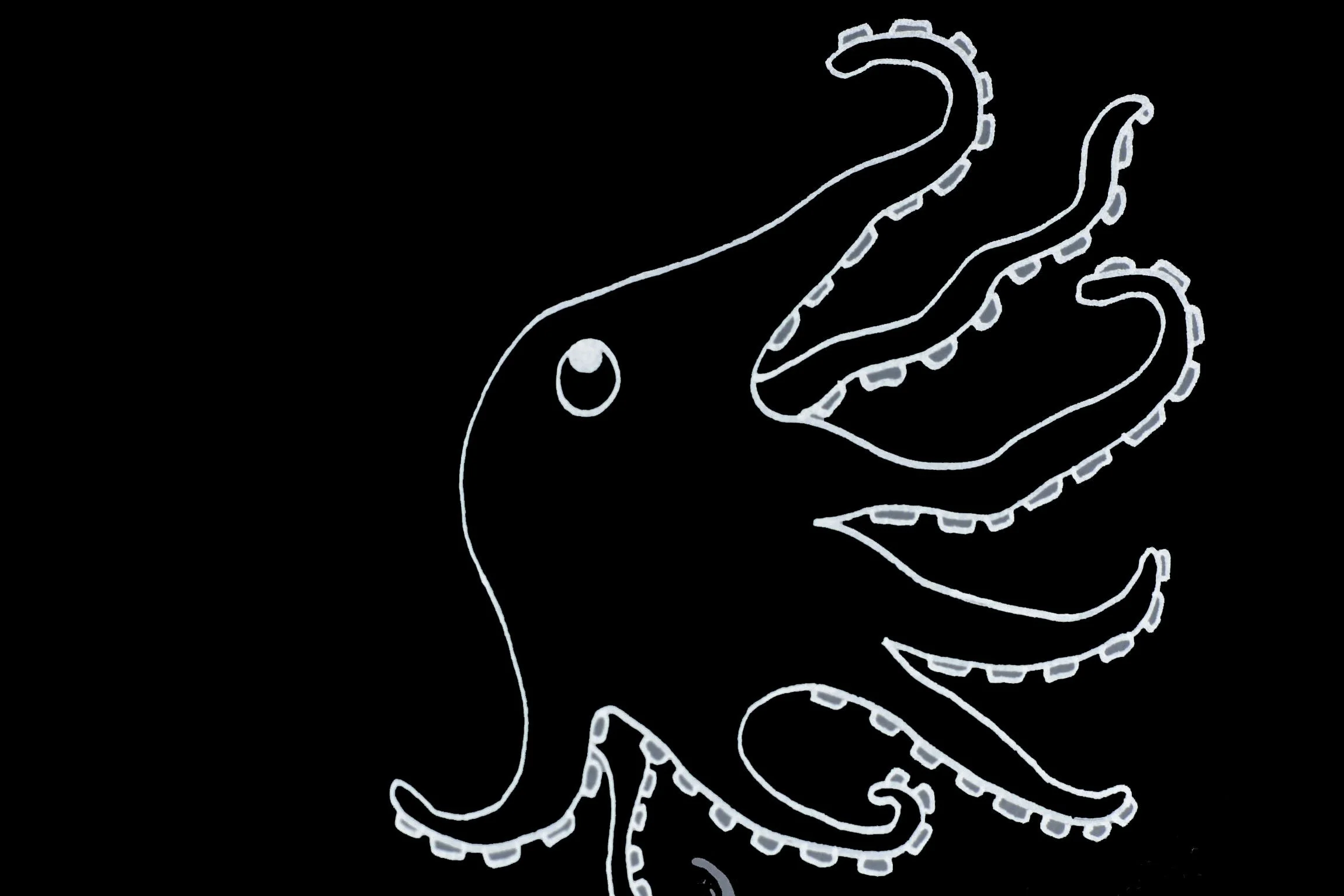 OCTOPUS 4.jpg