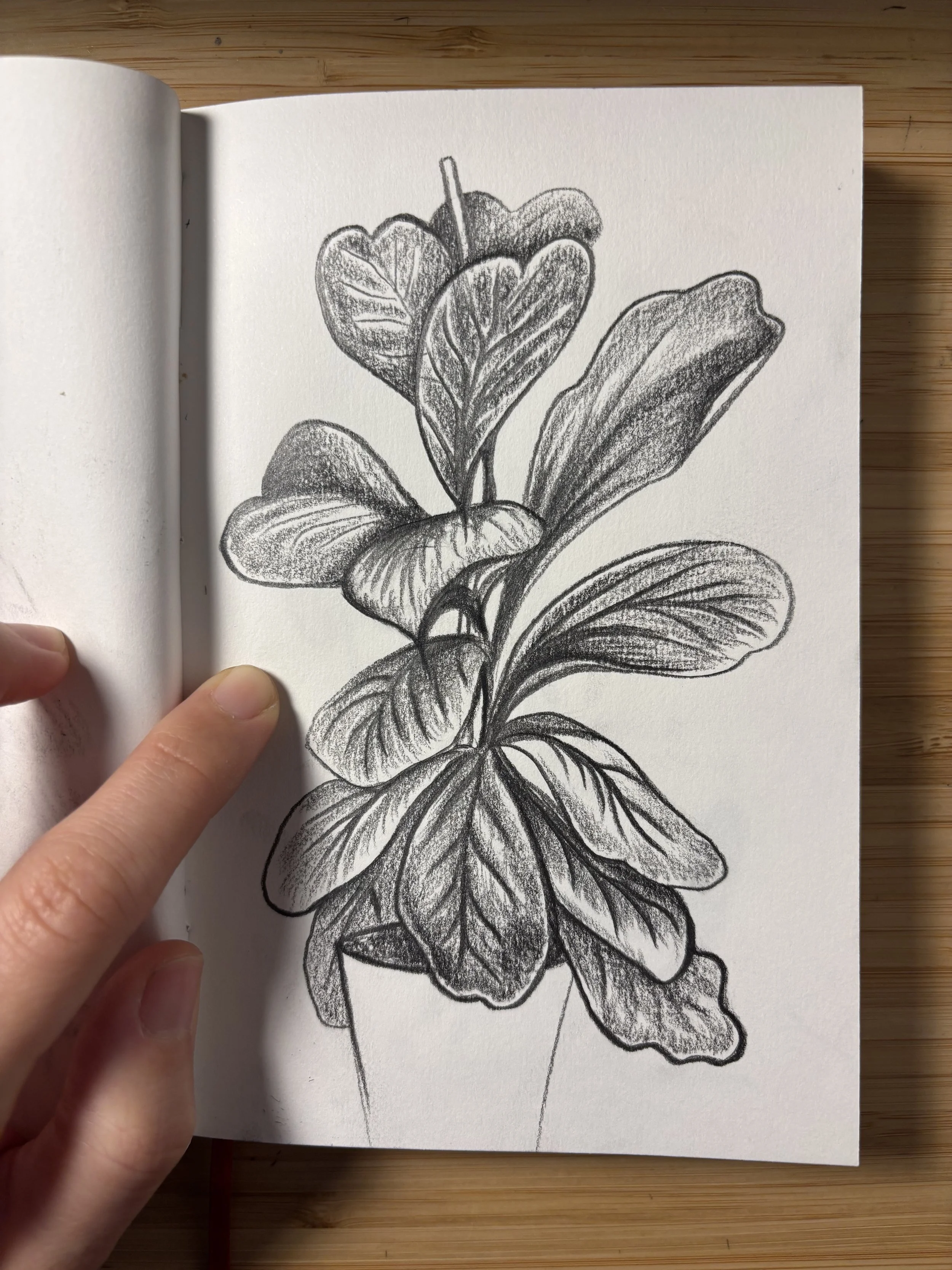 New year, new art, NEW CREATIONS