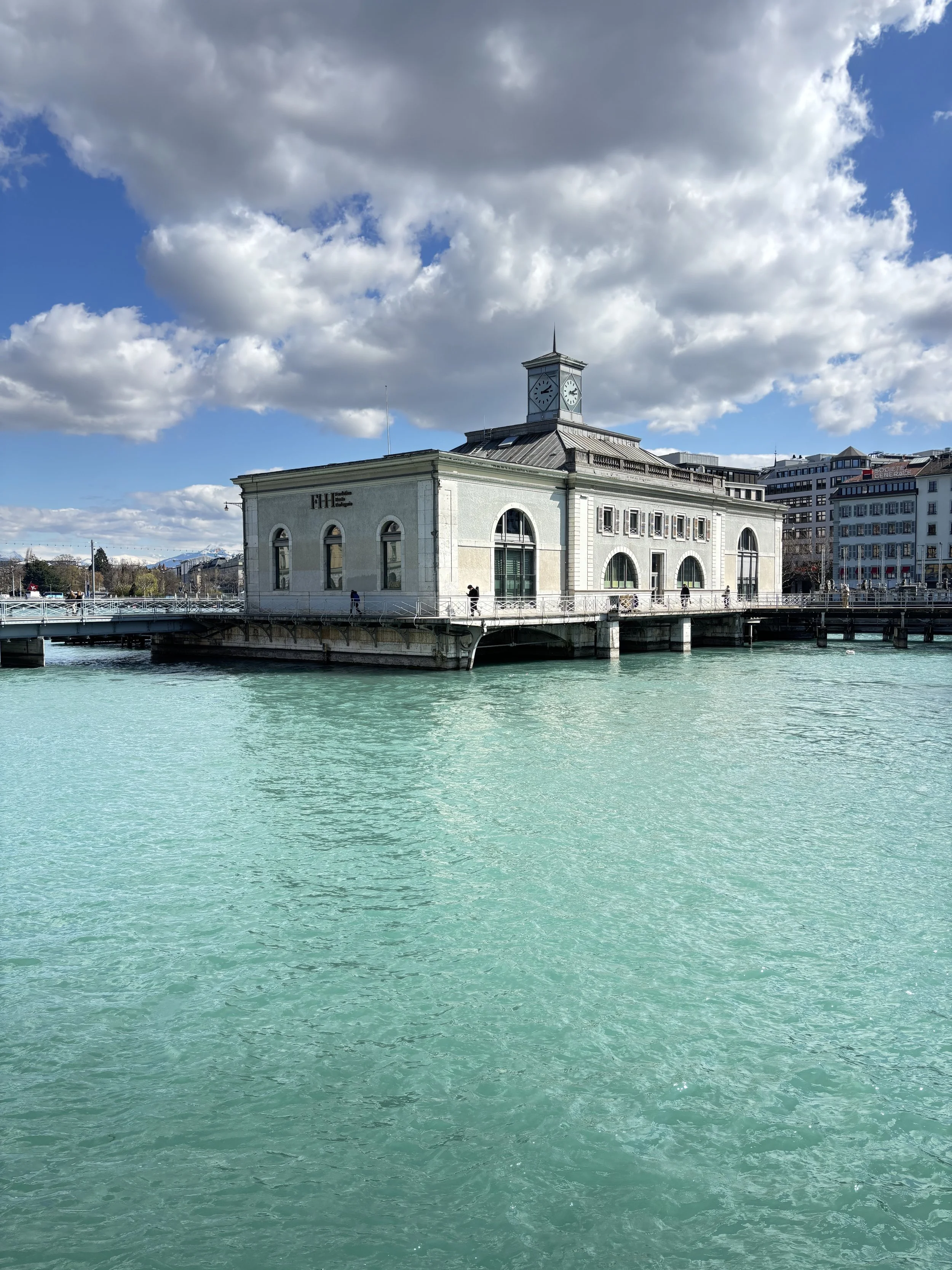 IMG_6583.jpg