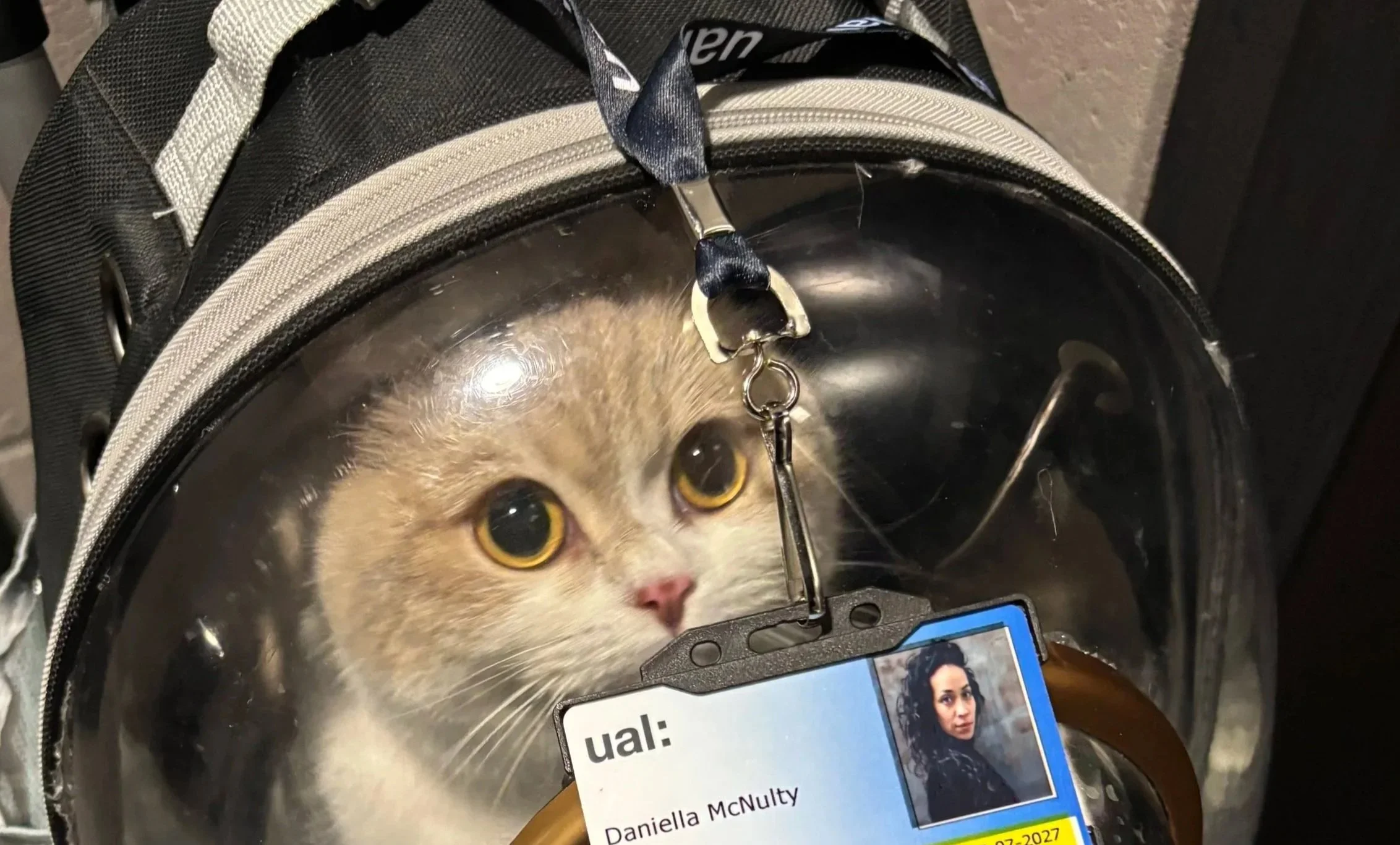 Unit 1 Assessment Feedback 