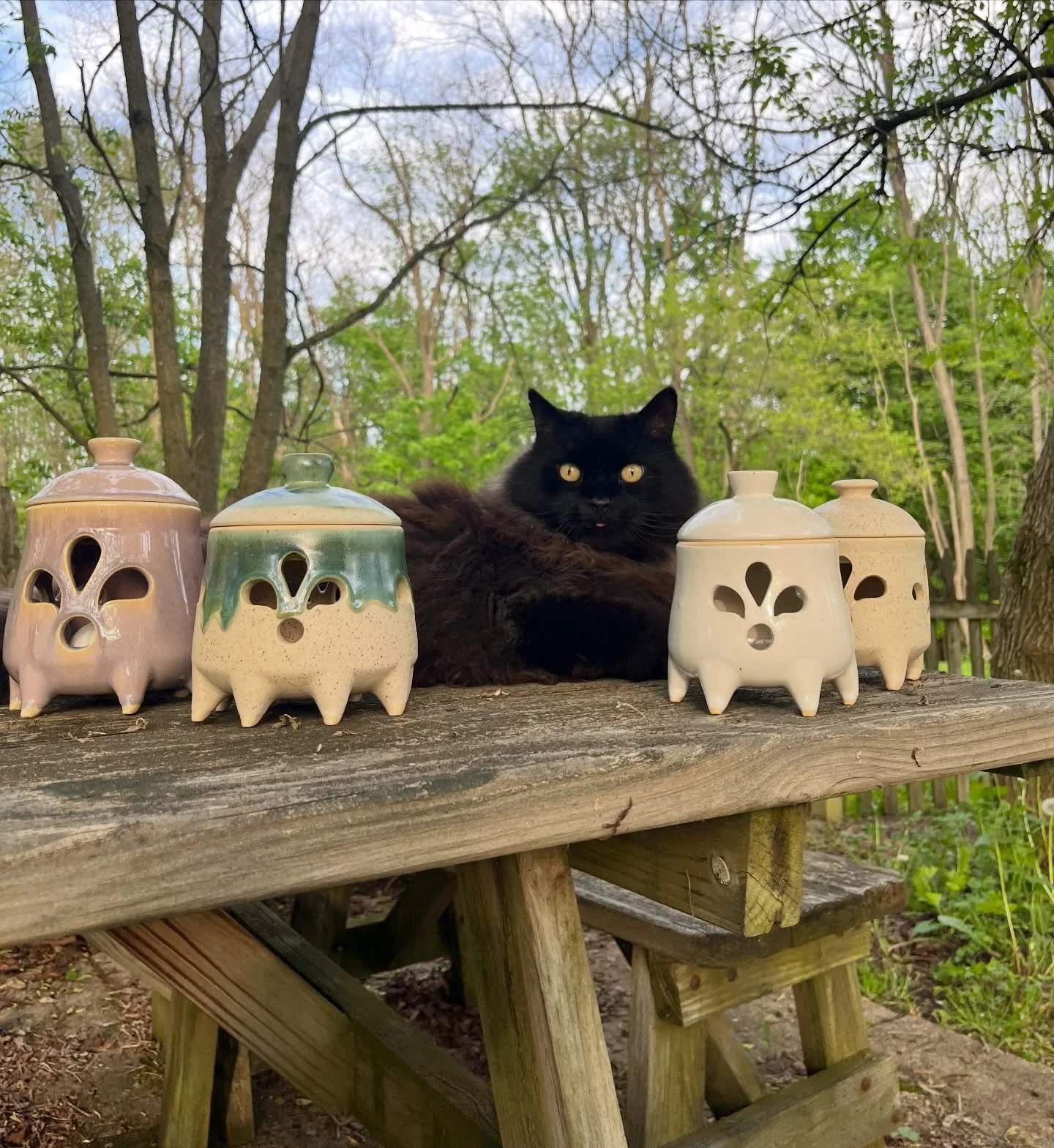 🧄 garlic jars 🧄 
so so happy with how these turned out! 🧅

only two days until @ithacafestival !!!! can&rsquo;t wait to show off everything i have!

#ithacany #pottery #garlicjar #handmade #art