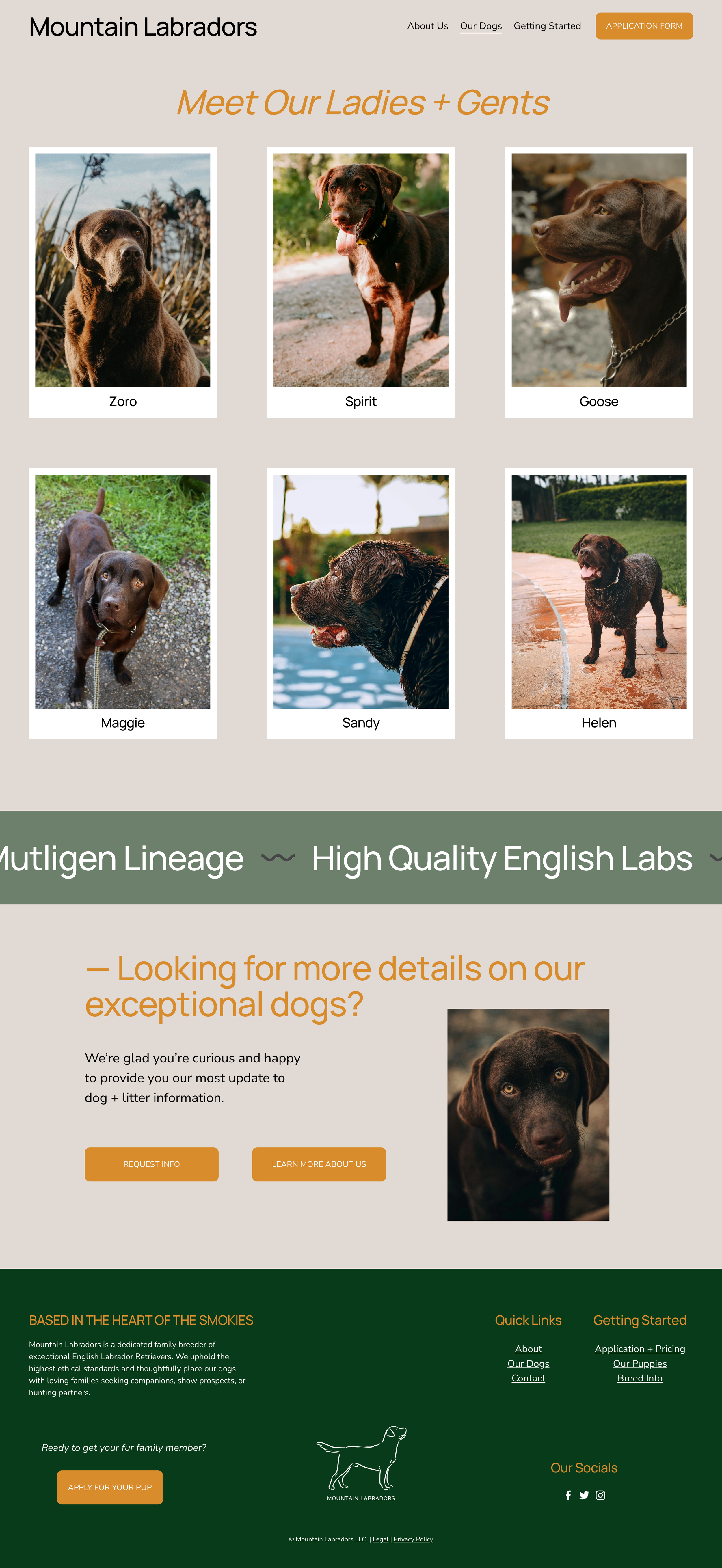 Our Dogs Page