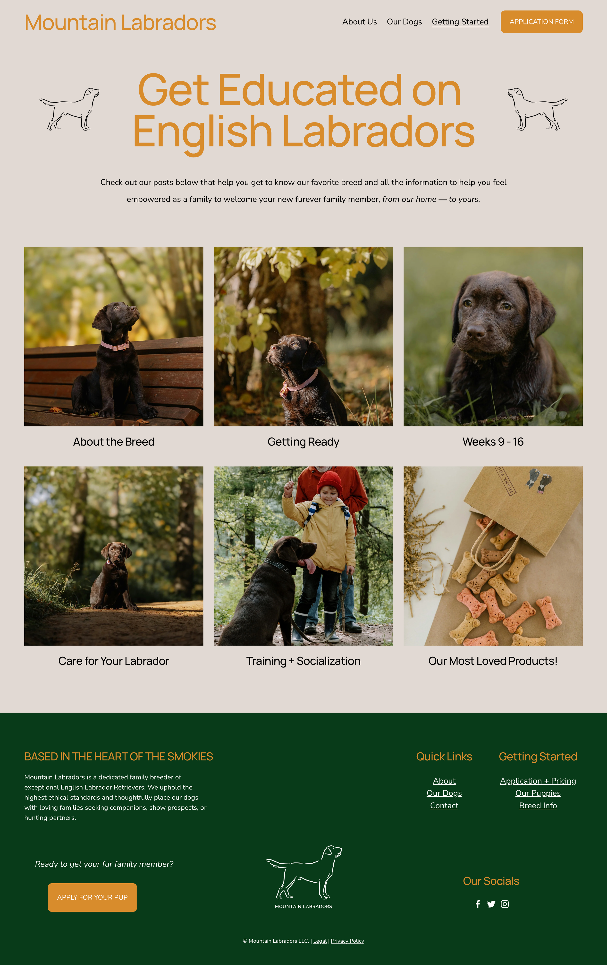 Blog Page
