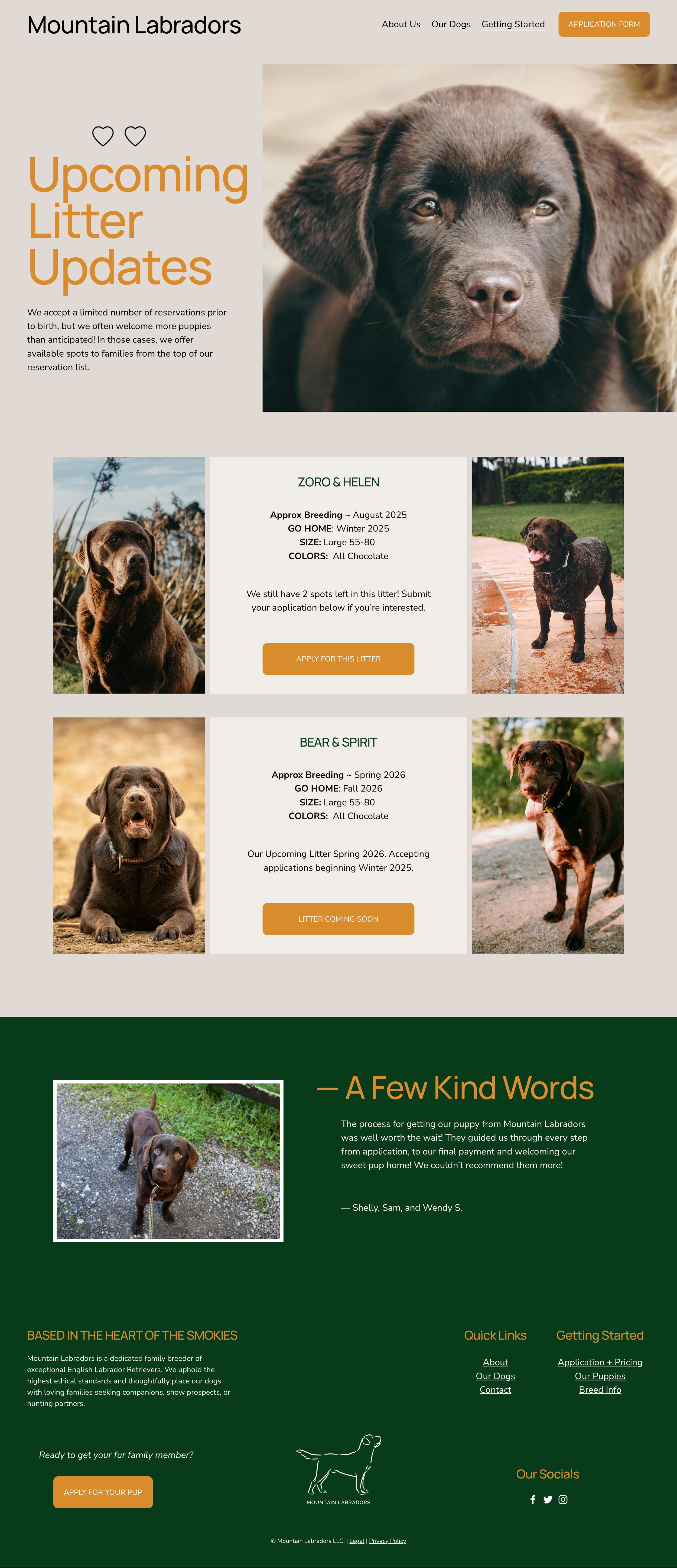 Upcoming Litters