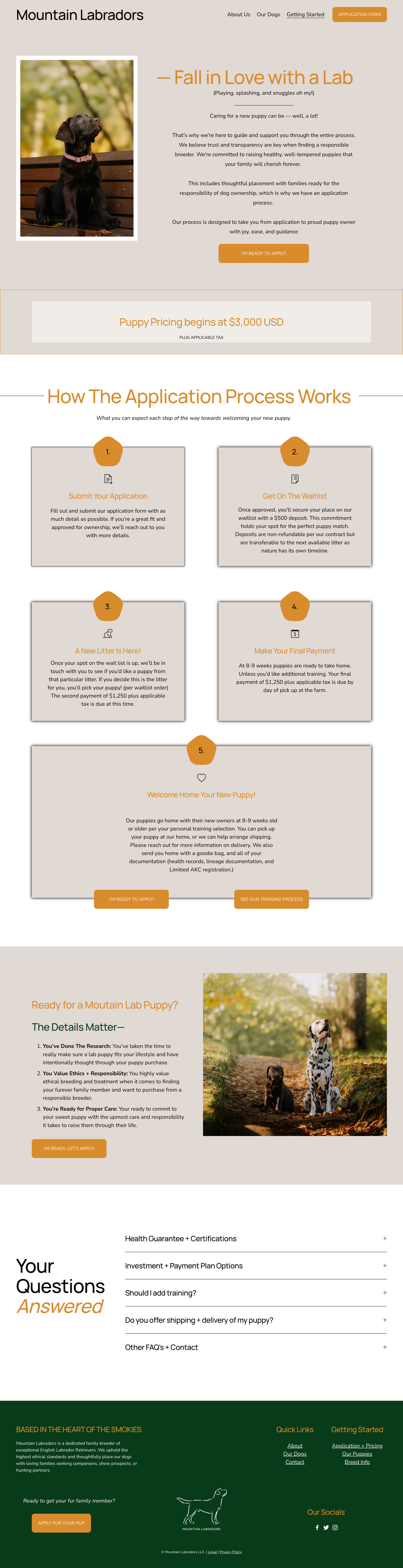 Process + Pricing Page