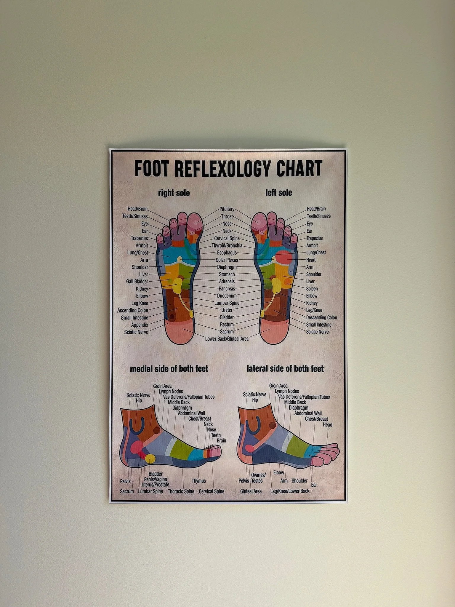 9.17.26 - Advanced Reflexology with Dex White, LMT