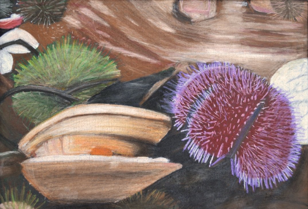 ColorPencil_Iceland.jpg