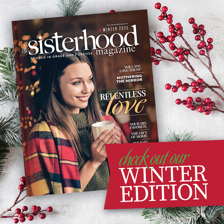 the-dusted-shelf-bookstore