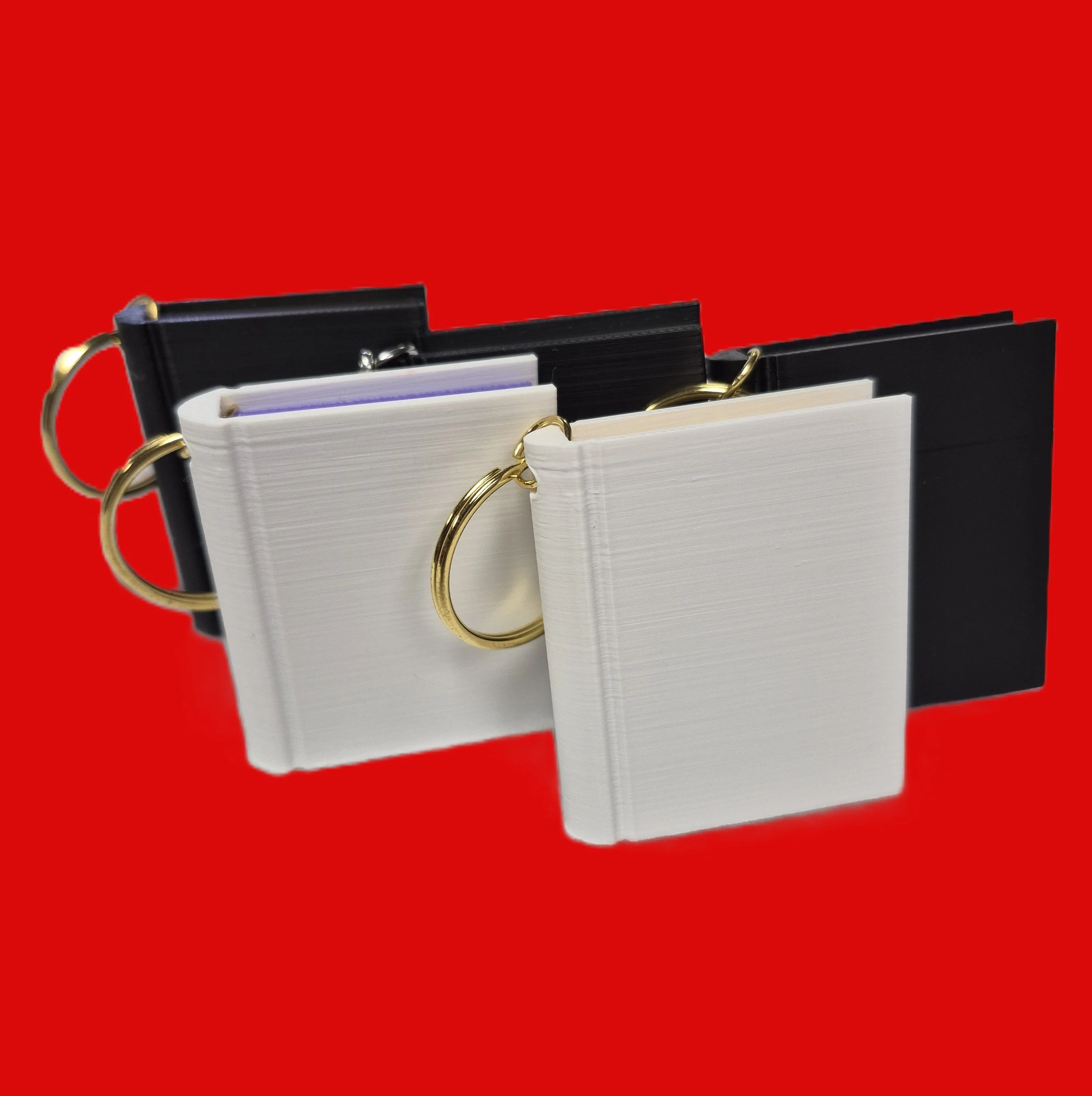 Book KeyChain Variety.jpg