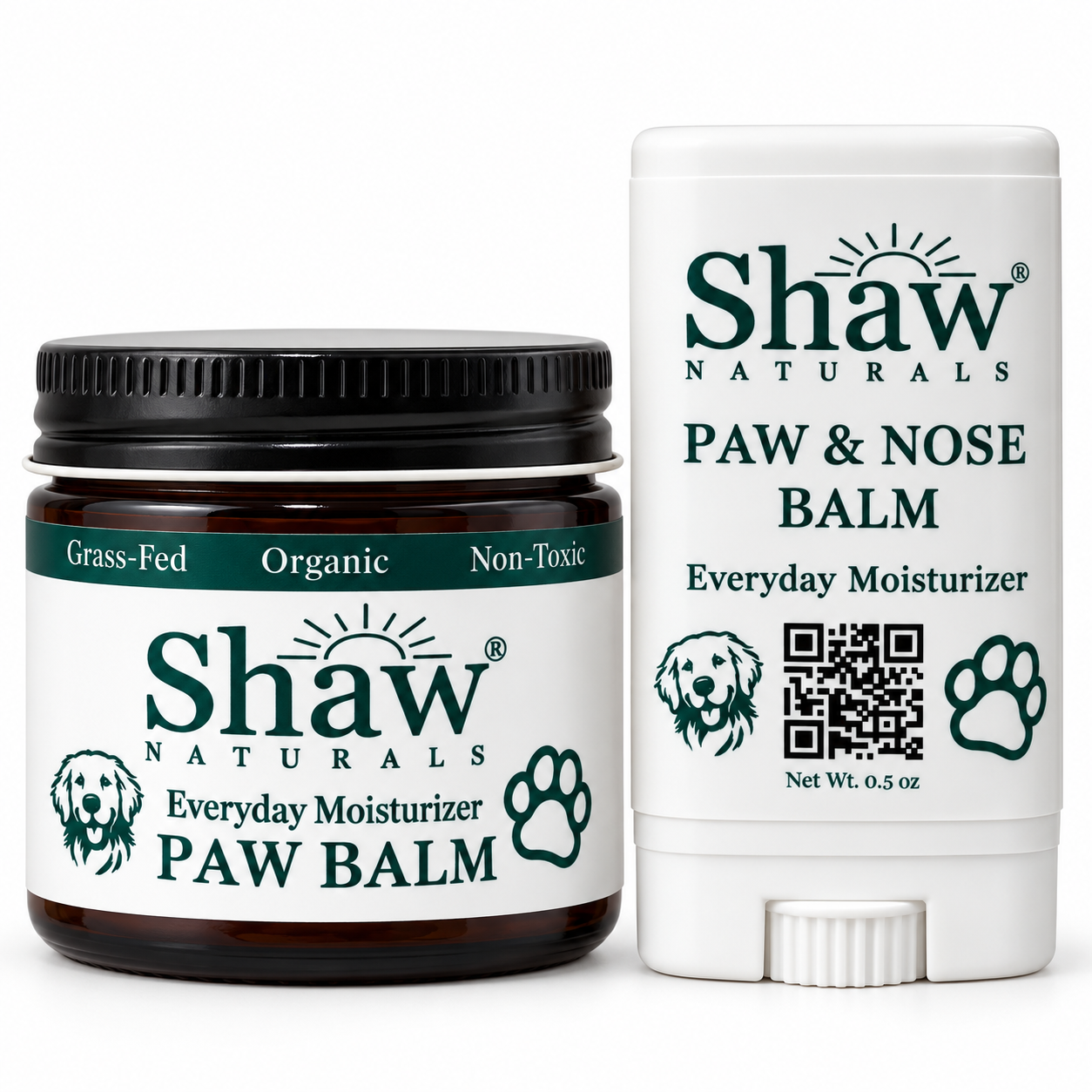 paw-everyday-studio.png