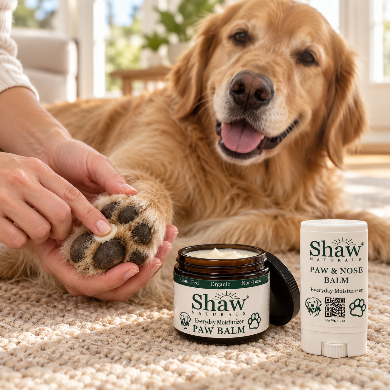 paw-everyday-lifestyle.png