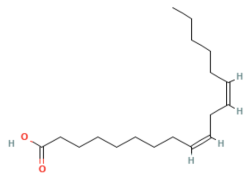 unstable polyunsaturated fatty acid found in seed oils. very toxic and prone to oxidation. causes skin cancer