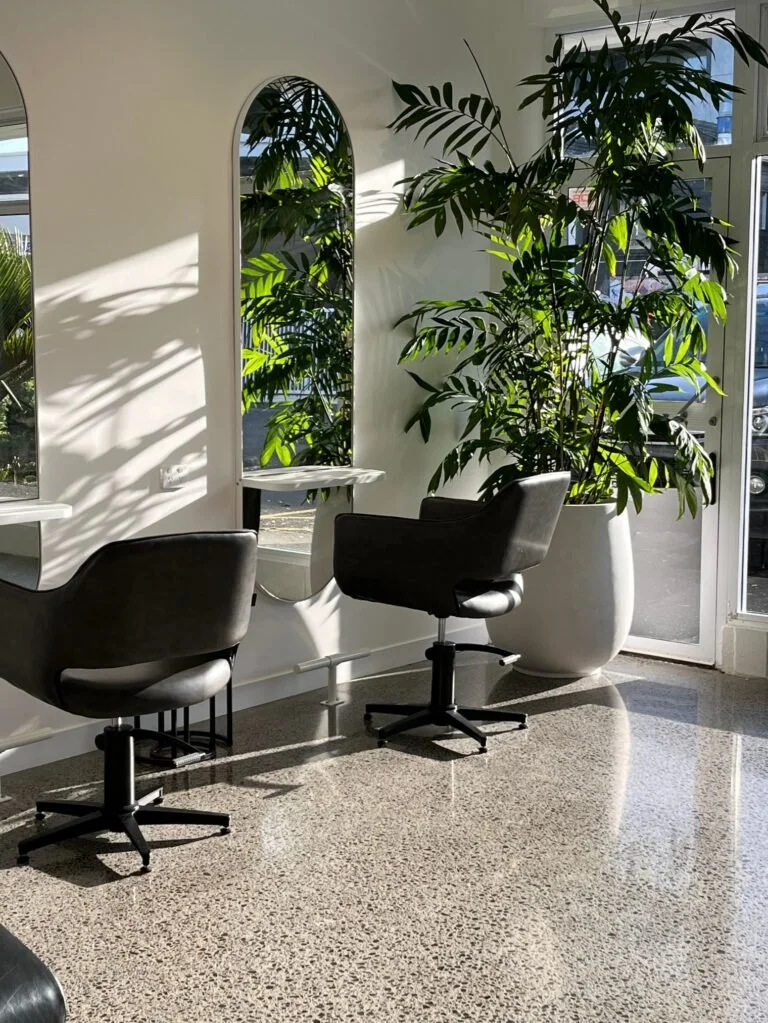 Modern hair salon interior with two black salon chairs in front of arched mirrors, large potted plants, and sunlight streaming through large windows.