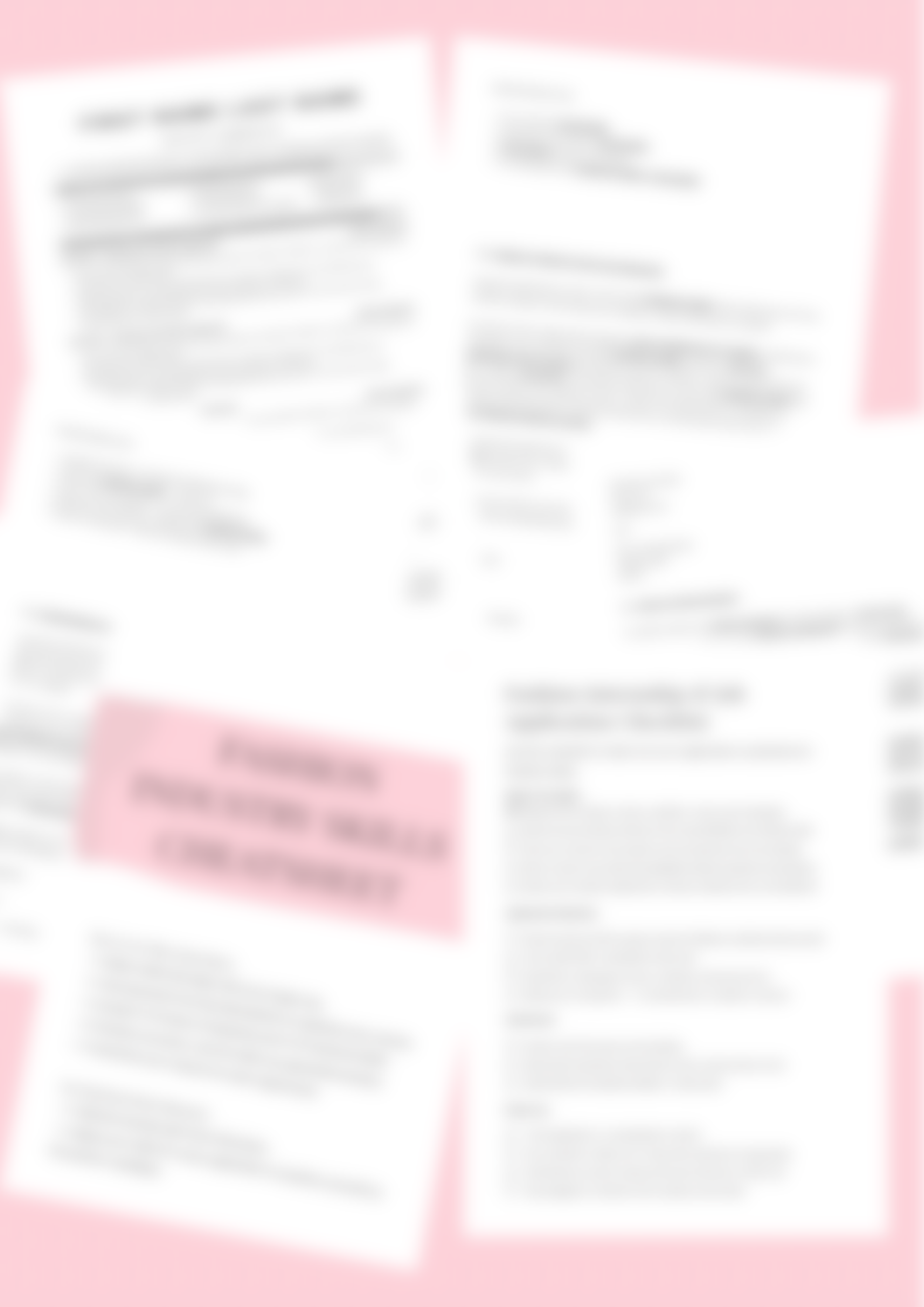 LINK The Ultimate Fashion Career Kit (1).png