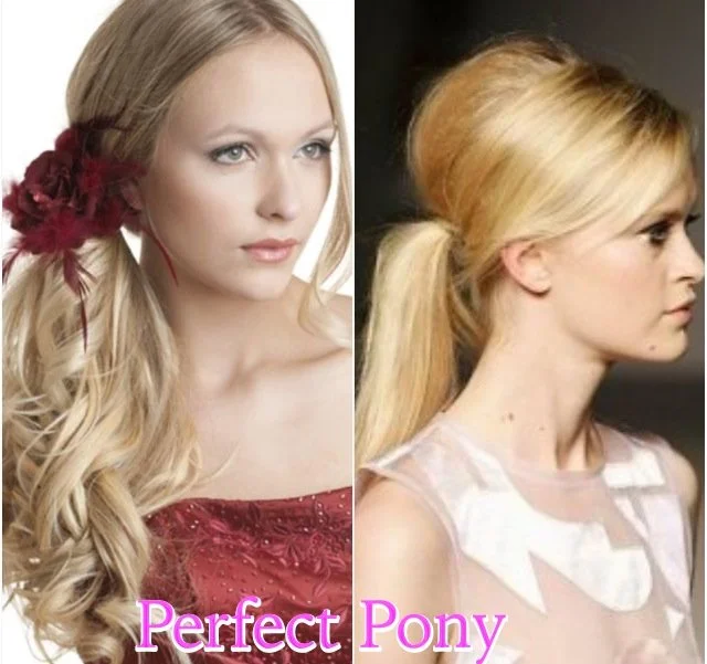 perfect pony.png
