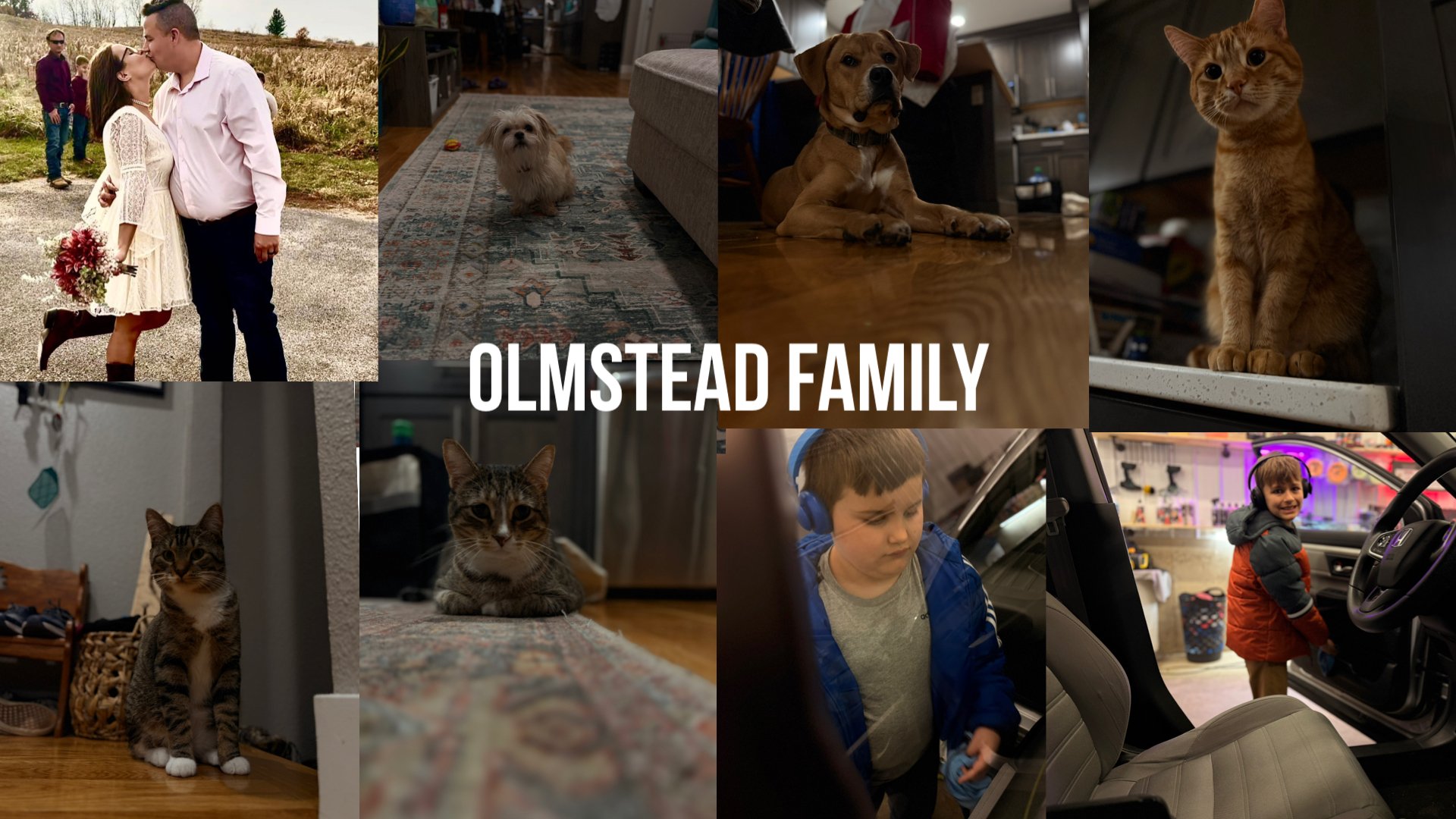 Collage of family photos including a couple kissing outdoors, dogs and cats inside the house, children playing, and the word 'OLMSTEAD FAMILY' in the center.