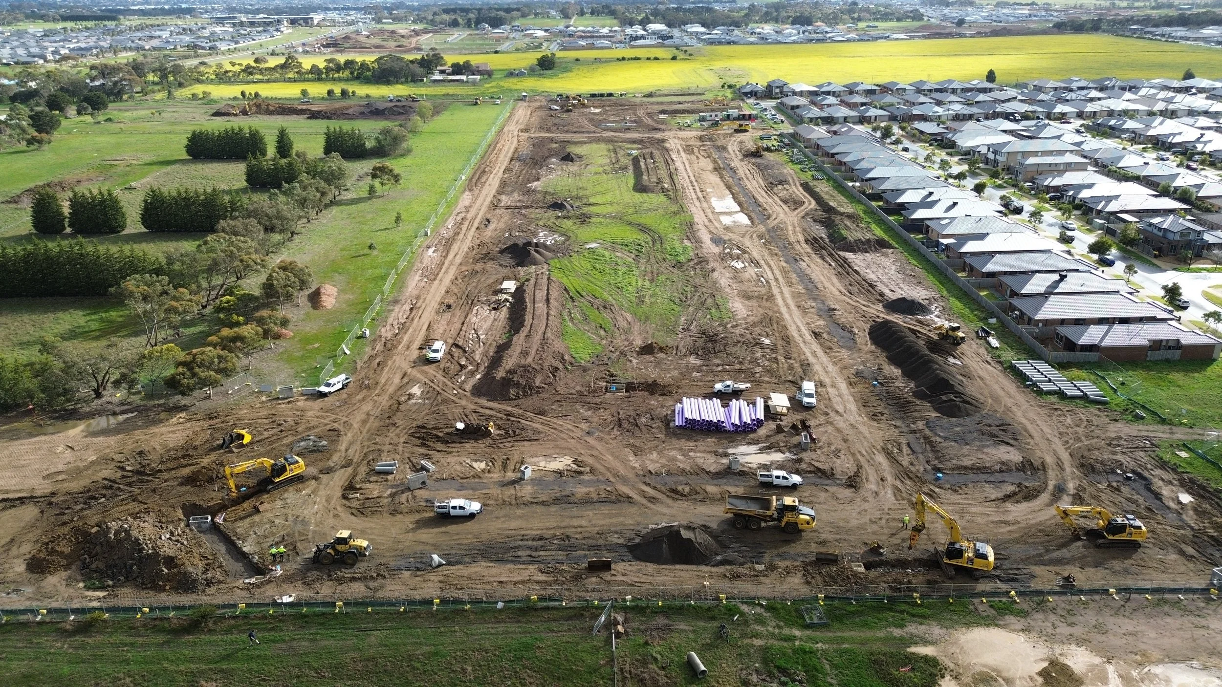 2025-09-10 - Palomino #1.jpg