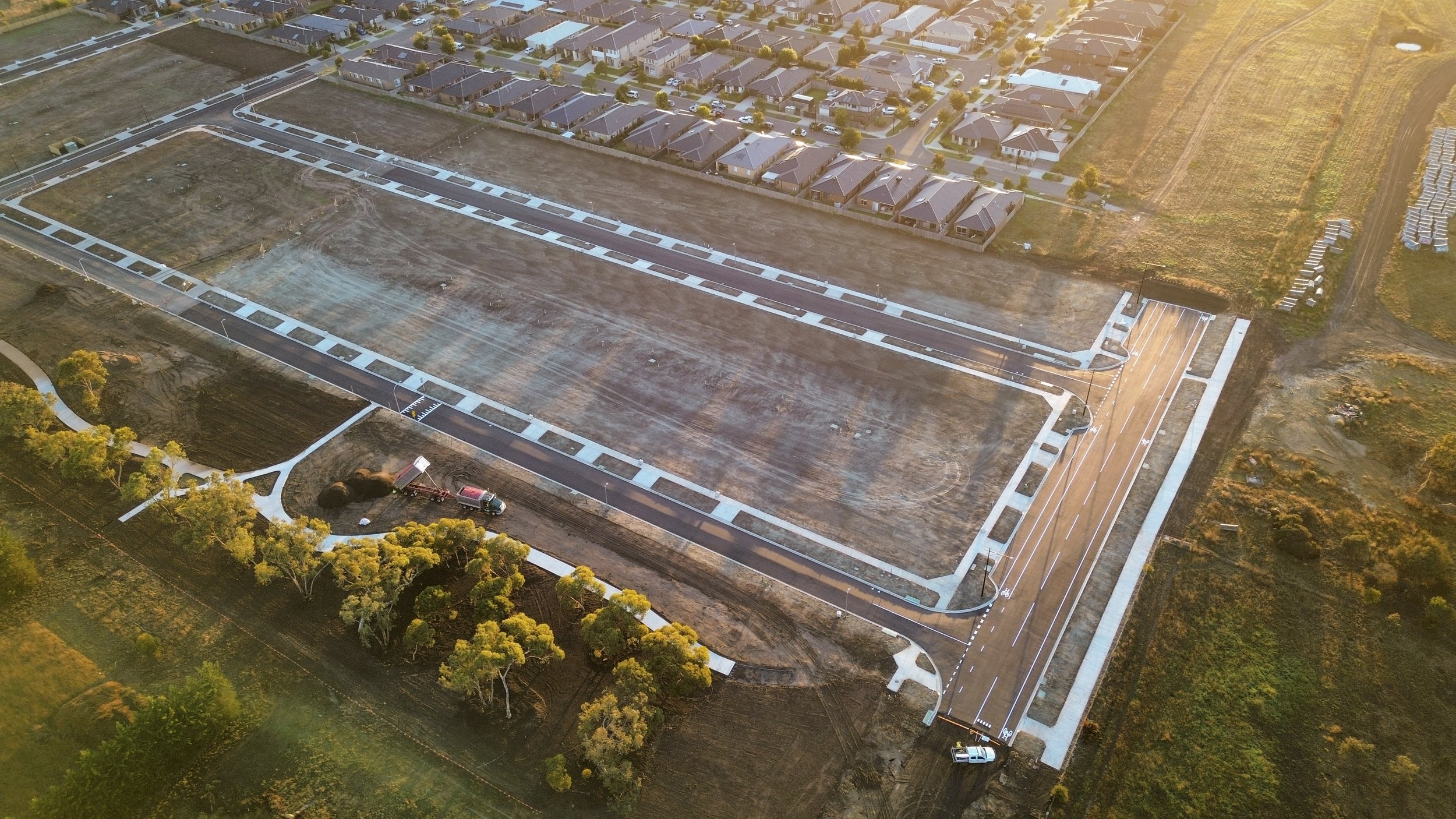 2026-03-18 - Palomino #2.jpg