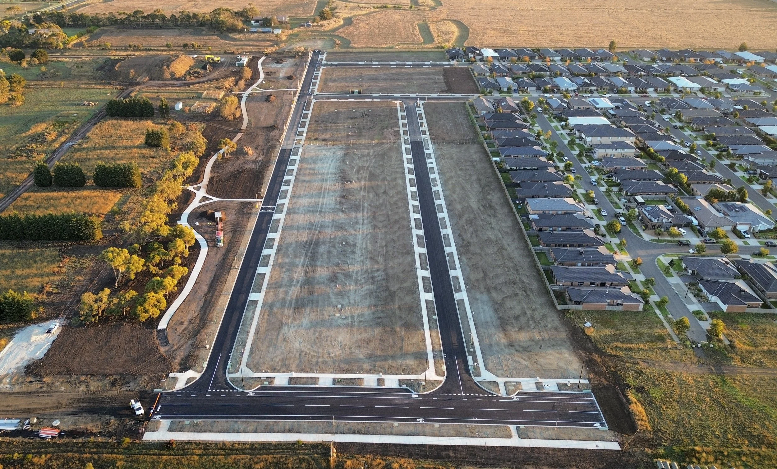 2026-03-18 - Palomino #1.jpg