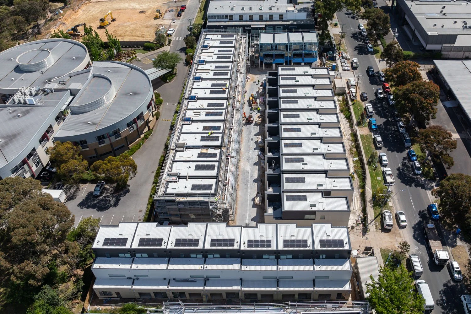 Early Sandringham_241104_9.jpg