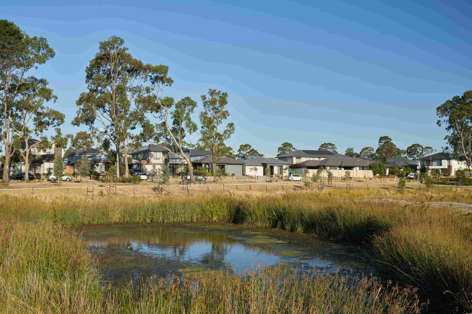 Canopy at Amstel Estate - Cranbourne___1712883123.jpg