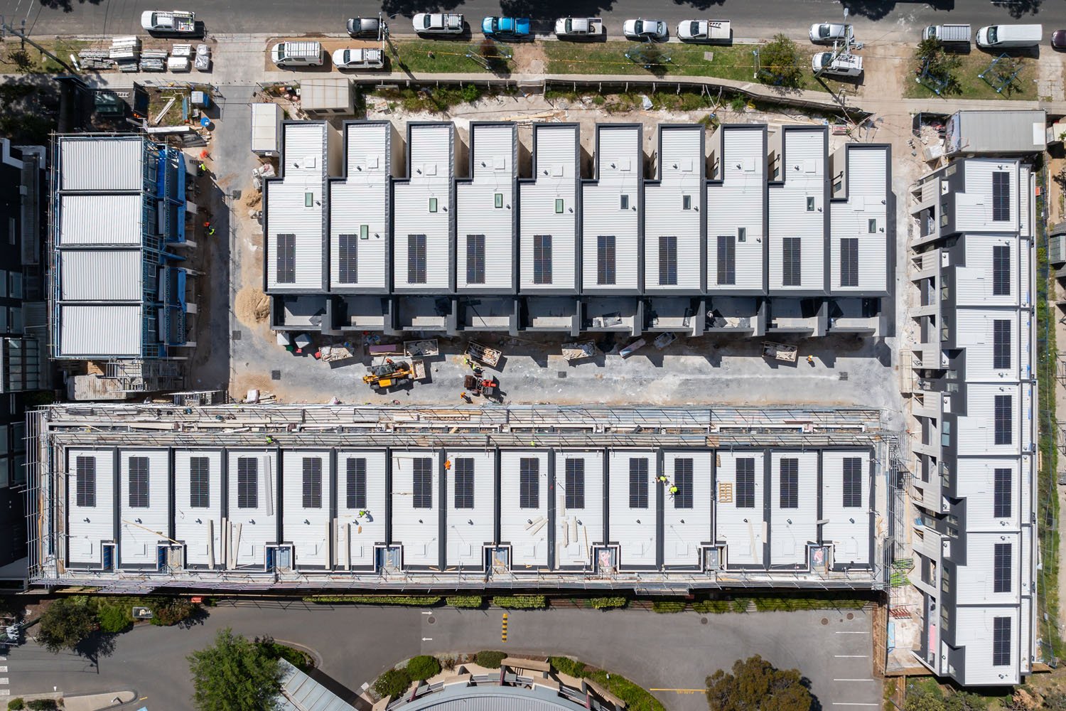 Early Sandringham_241104_12.jpg