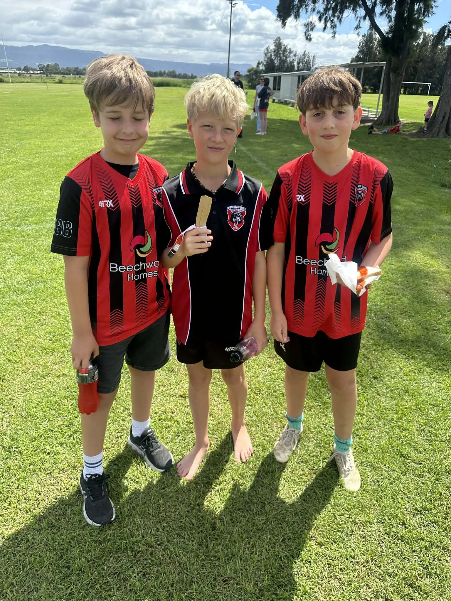 f024a14c-0367-4902-8134-b067db138fa2.jfif